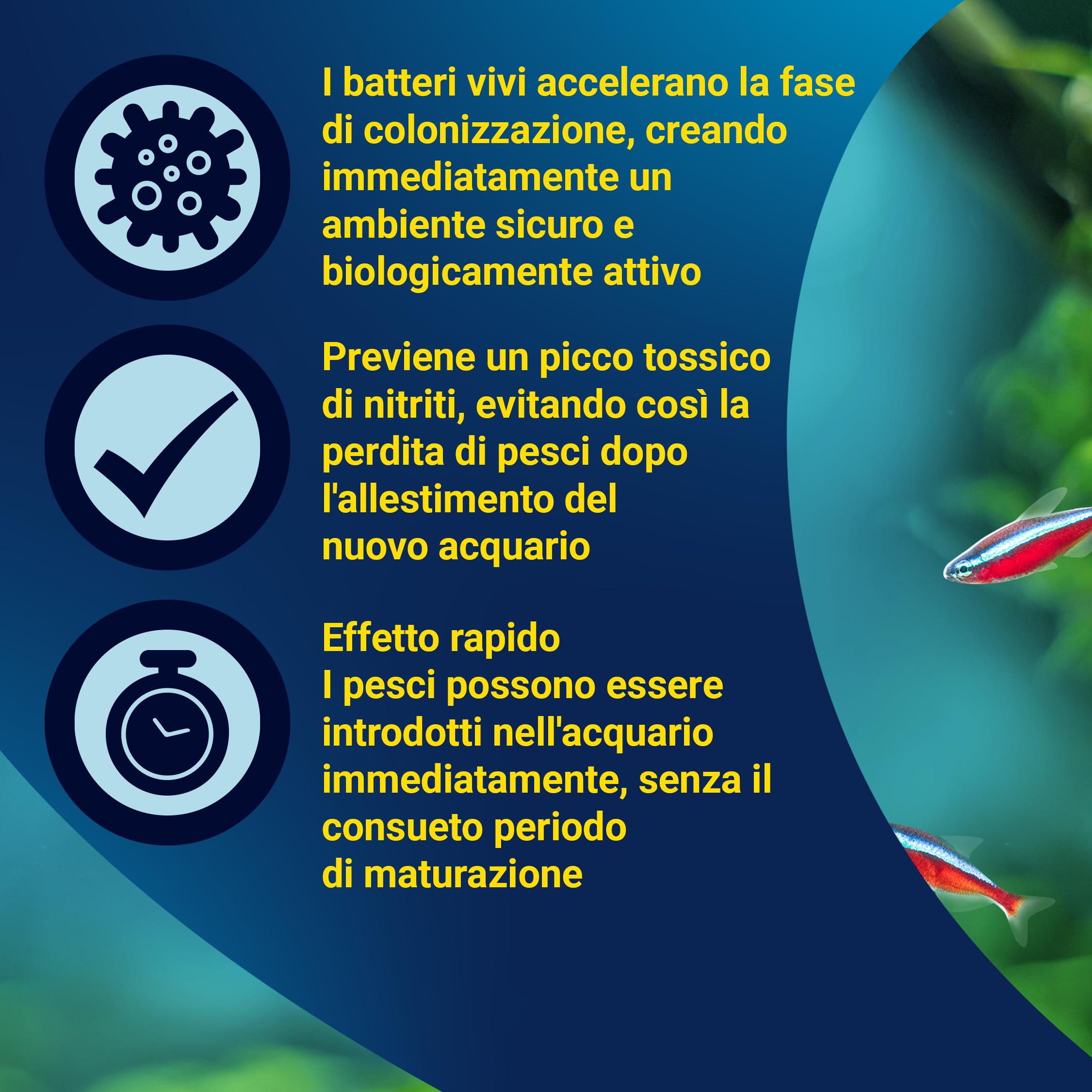 Tetra SafeStart Attivatore per Acquari, Consente di Introdurre i Pesci Immediatamente dopo L'allestimento dell'Acquario, 100 ml