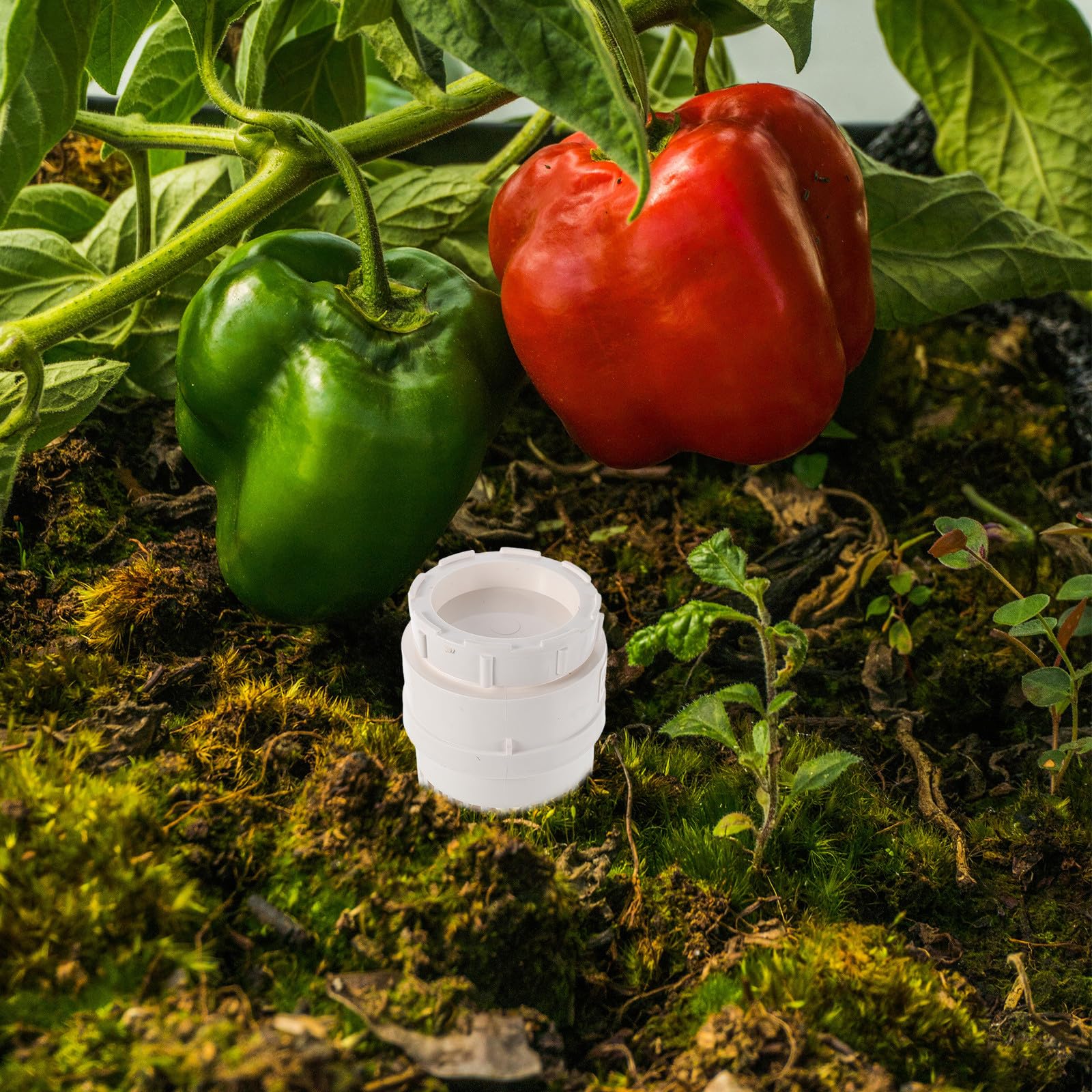 Gatuida Compostador subterráneo para lombrices - Caja de compostaje de plástico para Reciclar Vegetales - Contenedor de plástico para lombrices con Tapa Perforada - Jardinería, Cocina, residuos