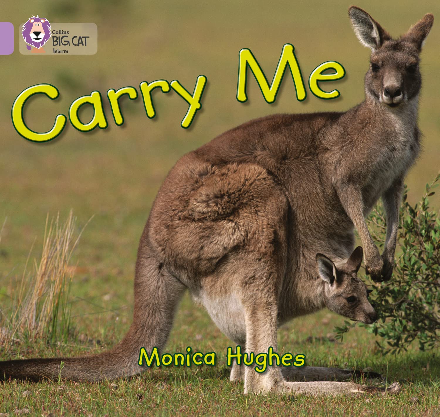 Carry Me by Monica Hughes PAPERBACK 9780007185351