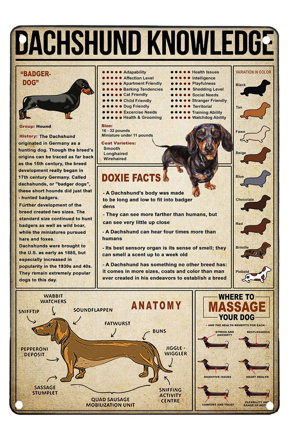 Aluminum Tin Sign Dachshund Knowledge Metal Sign Vintage Wall Decor Metal Sign 6x8 Inch