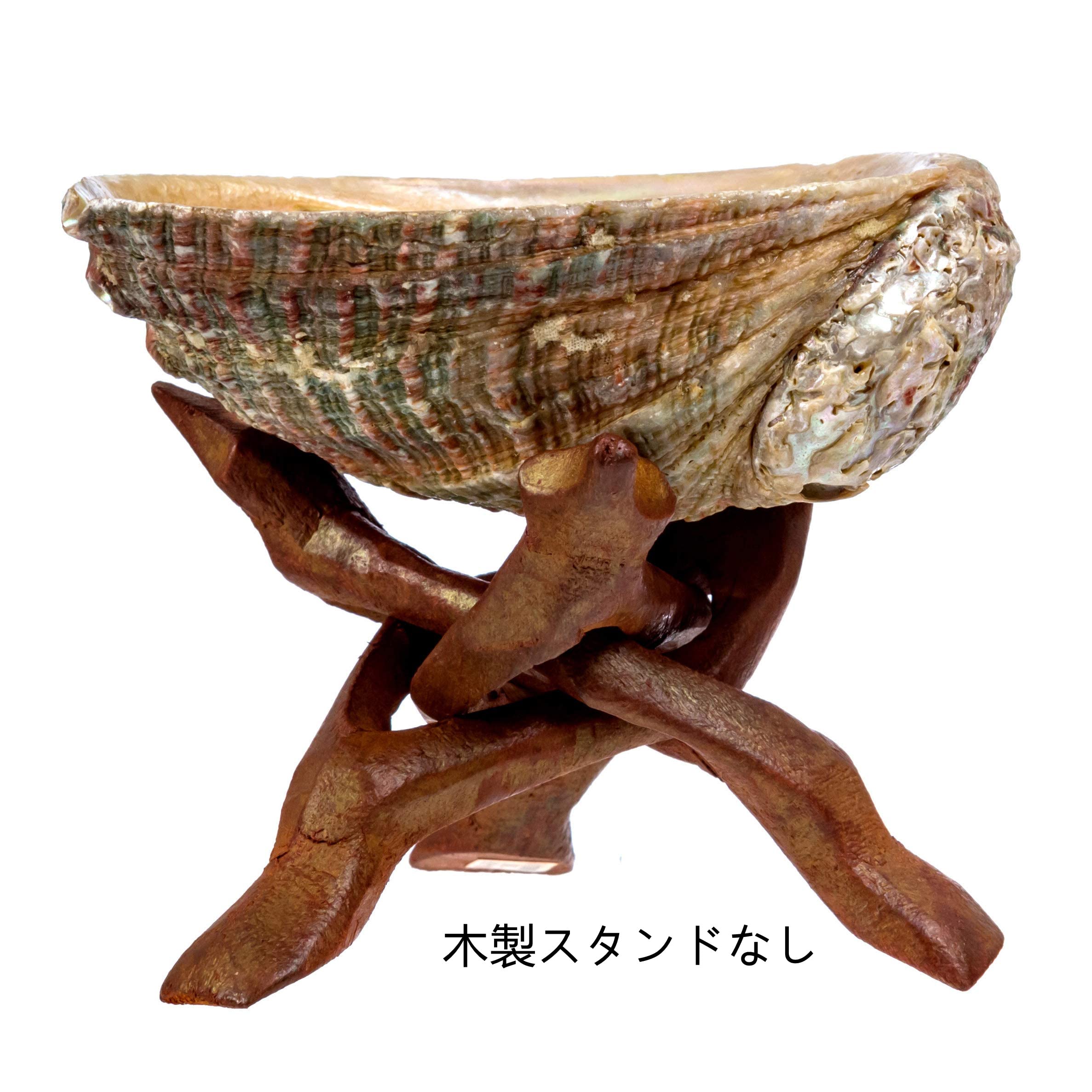 Amazon.co.jp: 浄化皿 アバロンシェル 13cm ホワイトセージの貝殻 浄化