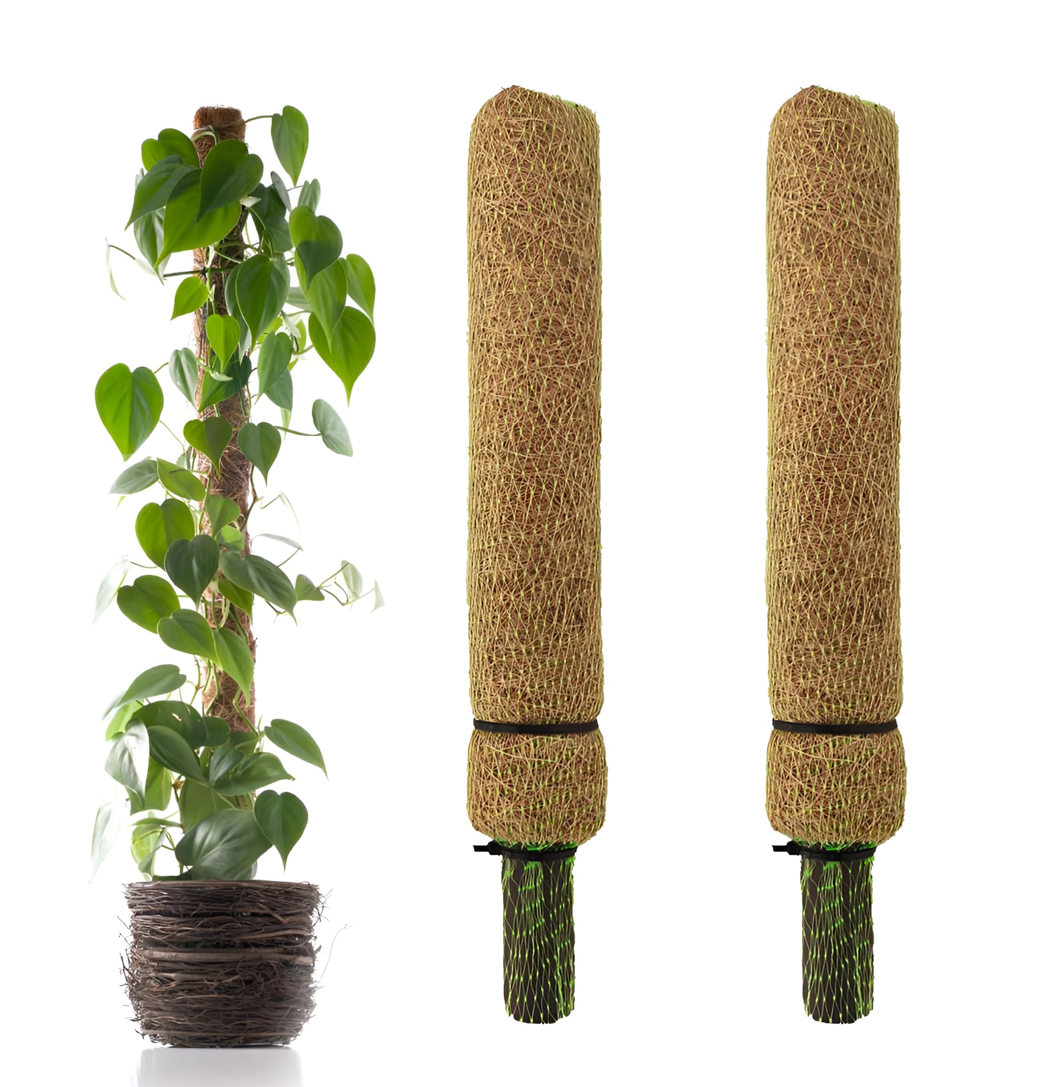 Smart Garden Natural Coco Poles for Plant Support and Growth Enhancement - Eco-Friendly Plant Climbing Coir Pole for Indoor and Outdoor Gardens -(2 Feet, Pack of 2) (B0CW69KNDL) Amazon Price History, Amazon Price Tracker
