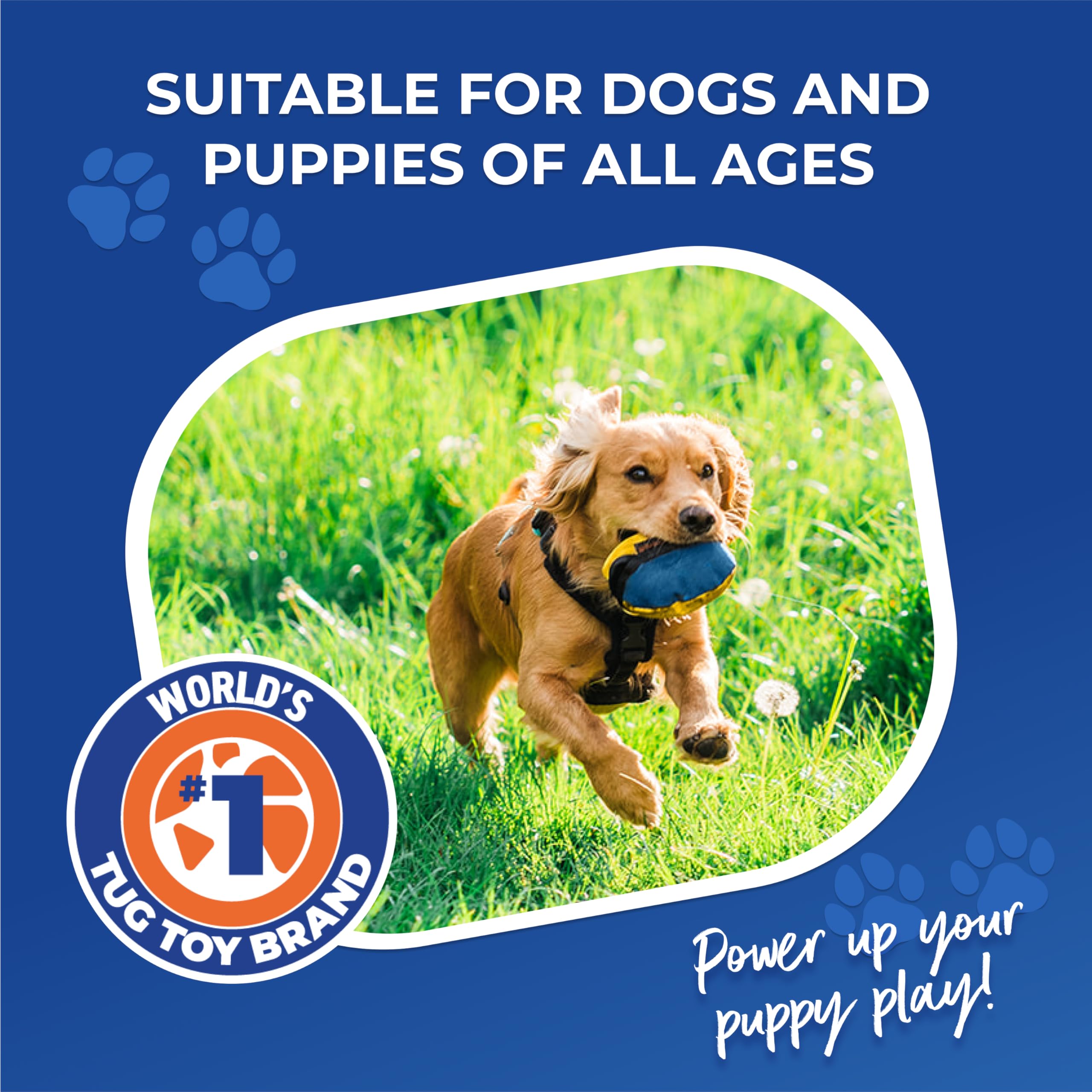 Tug-E-Nuff The Clam – Distributeur de friandises pour Chien Compact avec mécanisme d'ouverture astucieux, idéal pour Le Dressage interactif des Chiens, adapté aux Poches et Taille 11,4 cm