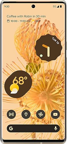 Miniatura 2 de Google Pixel 6 Pro 5G 128GB 12GB RAM desbloqueado de fábrica solo GSM  Sin CDMA - no compatible con VerizonSprint versión internacional - Sorta Sunny