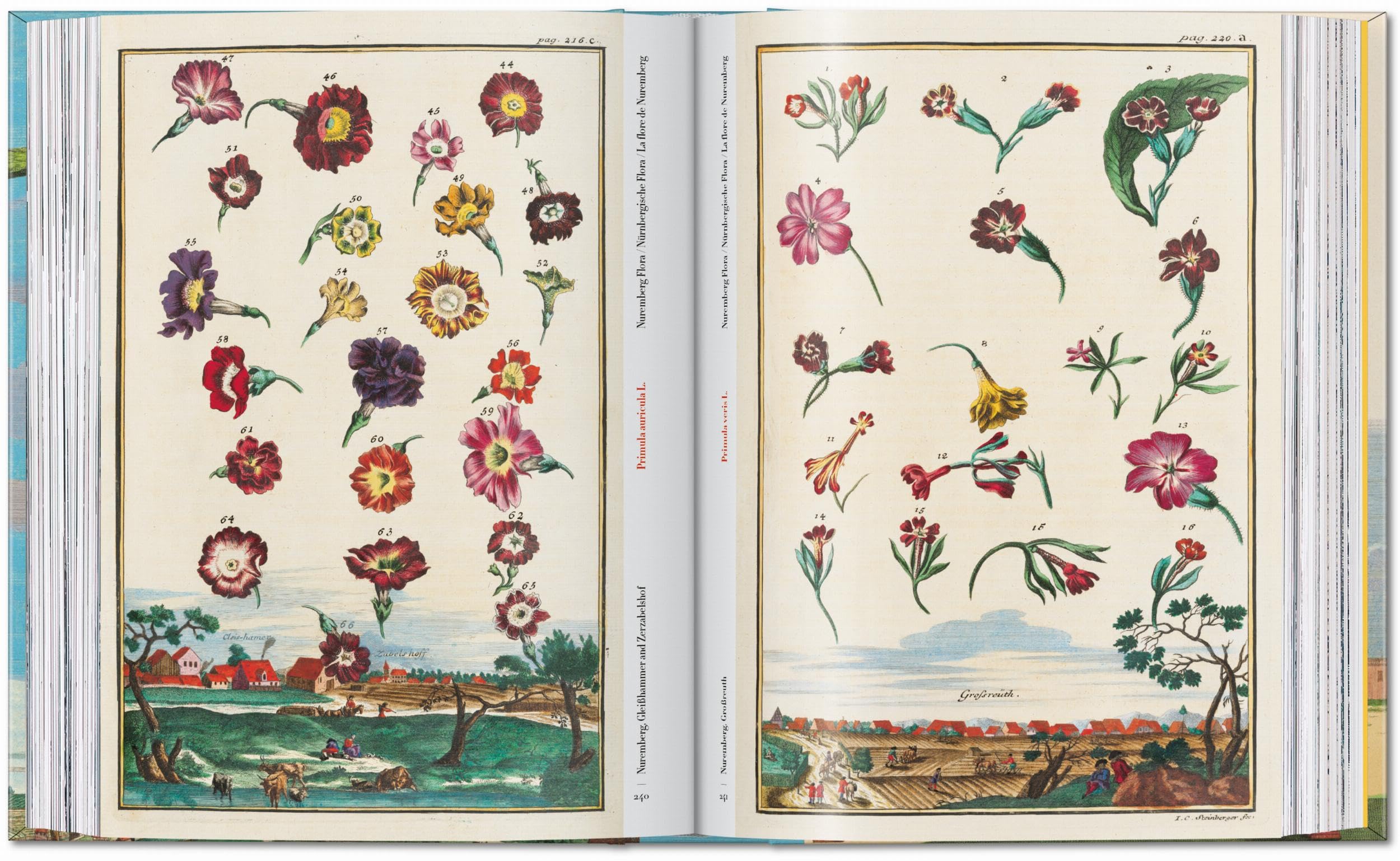 J.C. Volkamer: The Book of Citrus Fruits. 45th Ed.