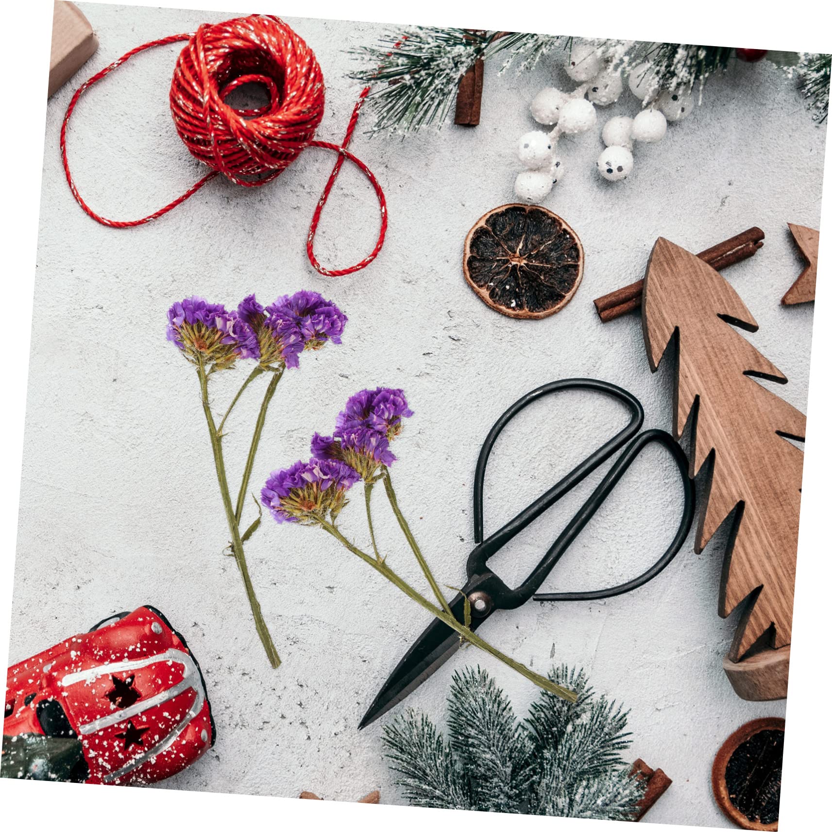 Abaodam 5ensembles Fleurs Séchées Naturelles pour Matériaux Artisanaux Décoration Unique pour Scrapbooking Manucure Et Créations Personnelles pour La Créativité