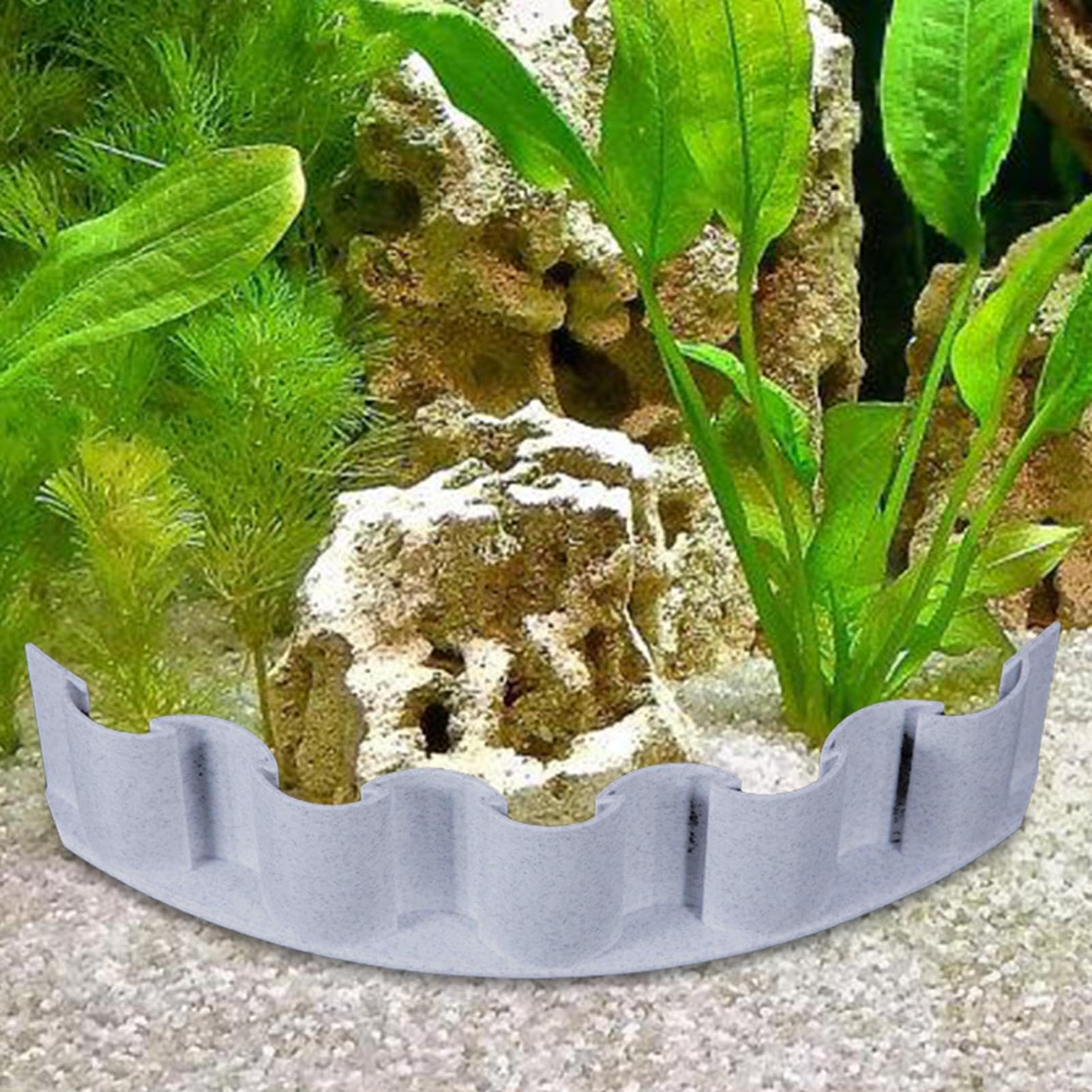 Barrière de substrat d'aquarium, séparateur de substrat d'aquarium, décoratif pour séparer les couches dans les aquariums et terrariums (différentes tailles), séparateur de couche de terrarium