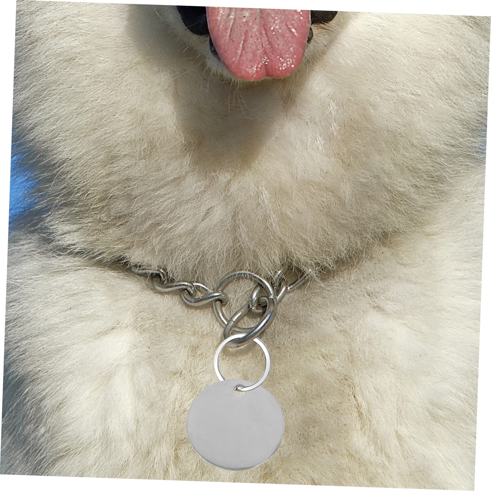 10pz Ciondoli Ciondoli Etichetta Cane Rame Rosso Metallo - Foto 10