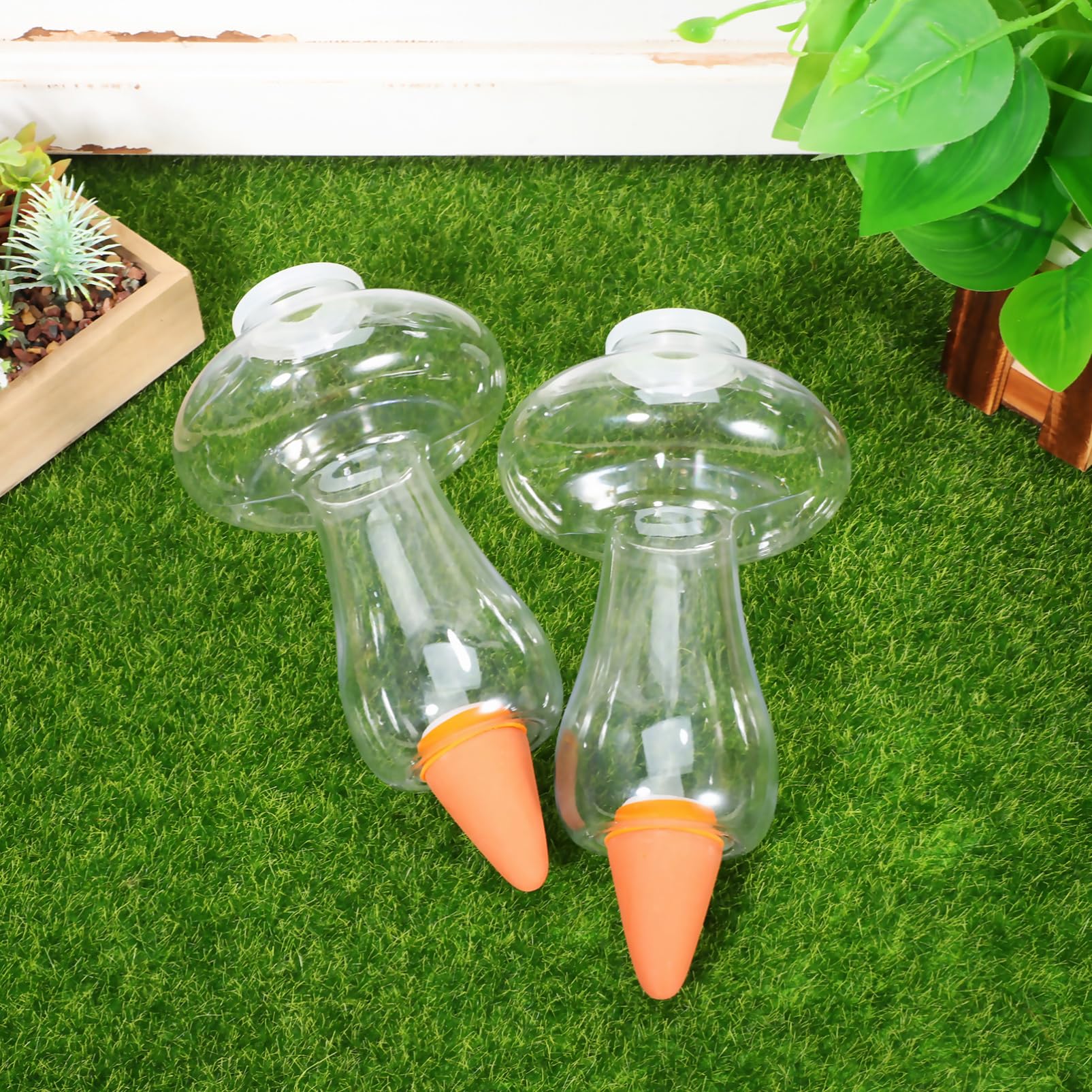 Kisangel Globes D'arrosage pour Plantes À Champignons 6 Pièces Pointes D'arrosage pour Plantes 300 ML Pointes D'arrosage Automatique pour Champignons Ampoule D'arrosage pour Plantes