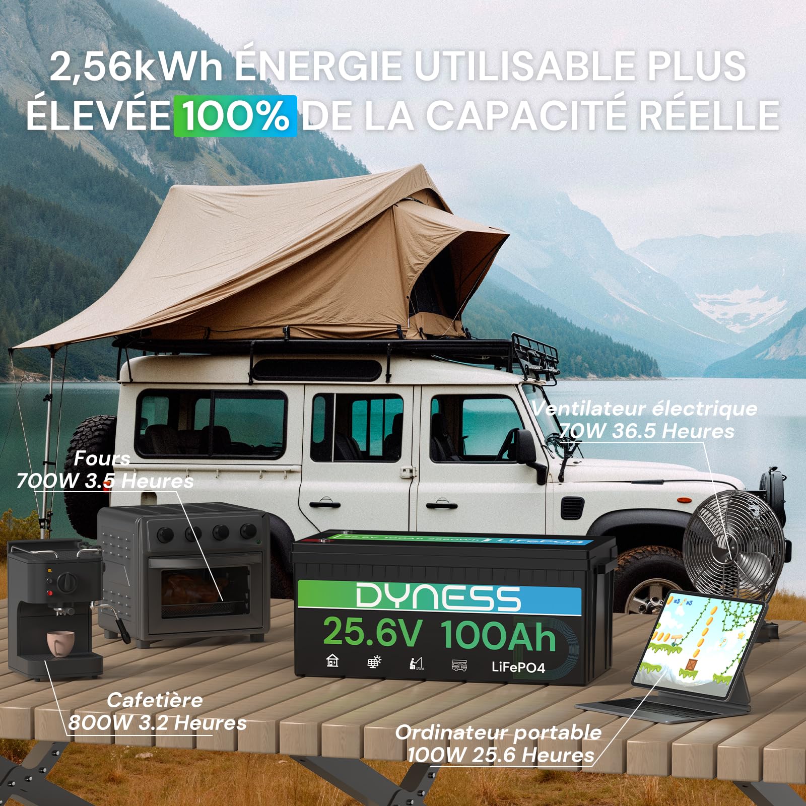Dyness Batterie Lithium 24V 100Ah LiFePO4 avec BMS intégré 100A et Protection Basses Températures, Batterie Lithium à Décharge Lente pour Camping Car, Panneau Solaire, Bateaux Bass, Hors-Réseau