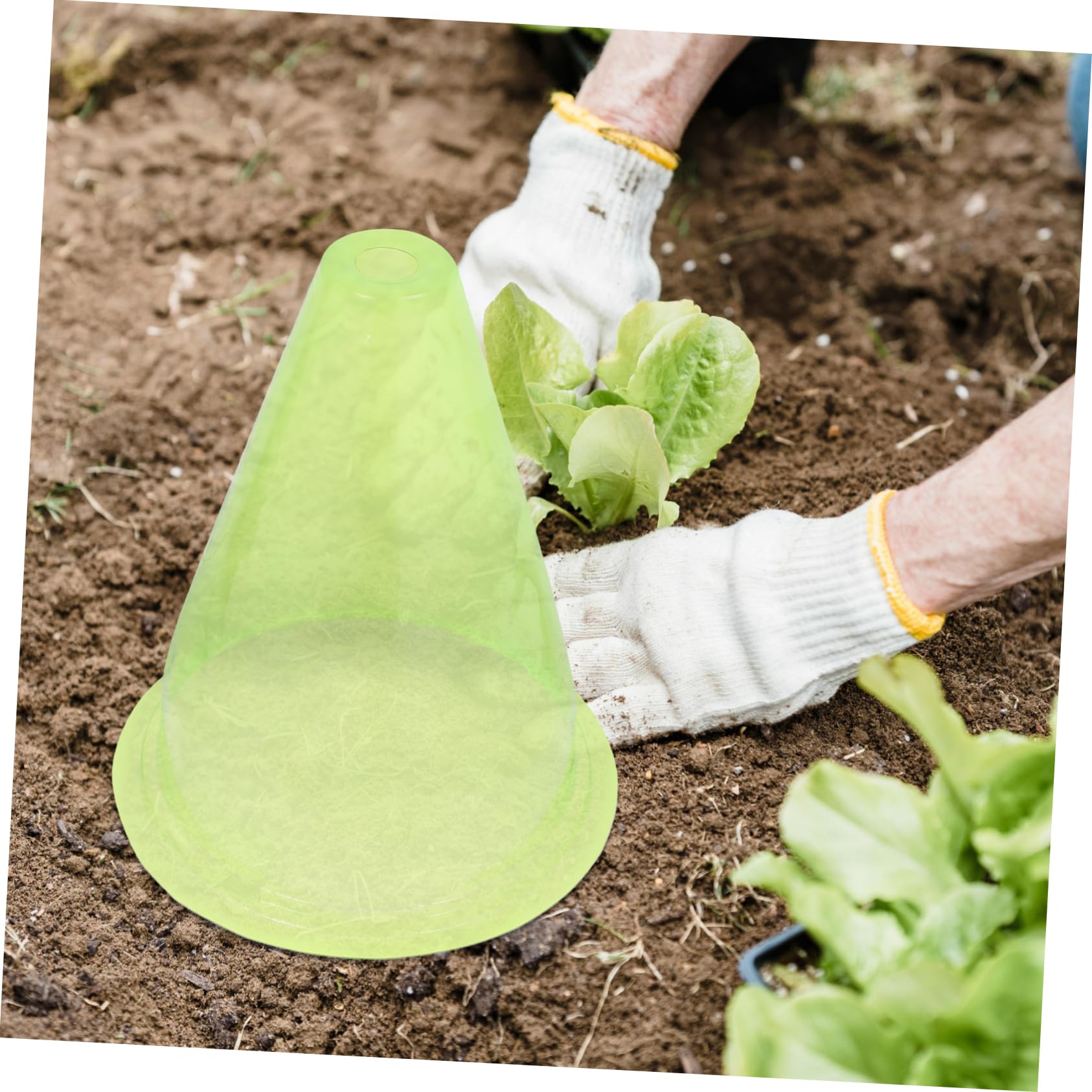 12pezzi Coperture per Piante Invernali Riutilizzabili Protezione Antigelo per Piante da Esterno Campane da Giardino Prese d Aria e Design Traslucido per Flusso d Aria e Luce