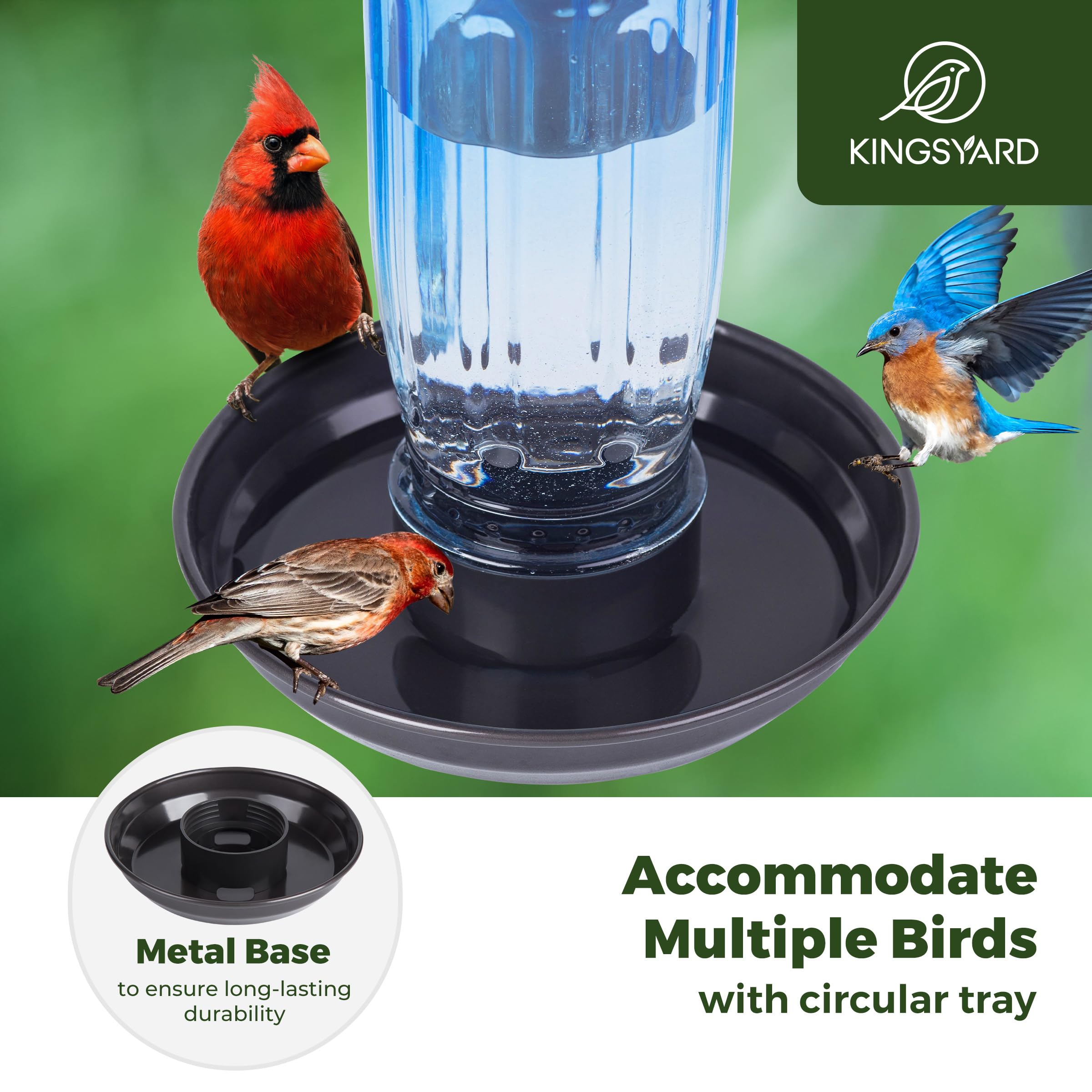 Kingsyard Comedero de agua para pájaros, dispensador de agua de vidrio de 16 onzas, dispensador de agua para pájaros con colgante de metal para decoración exterior de jardín, patio, azul