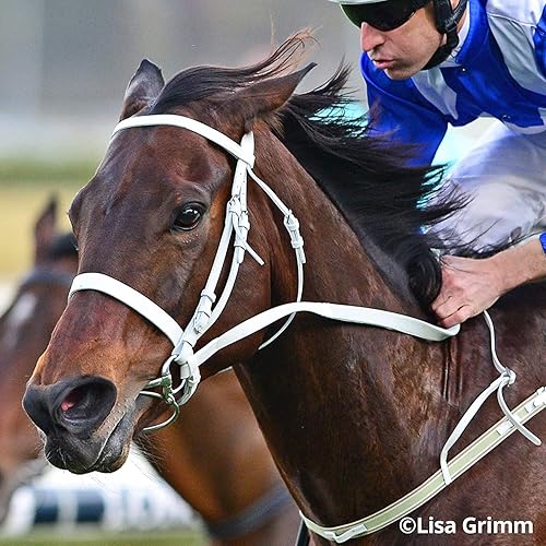 Miniatura 6 de Serie tradicional de Breyer.