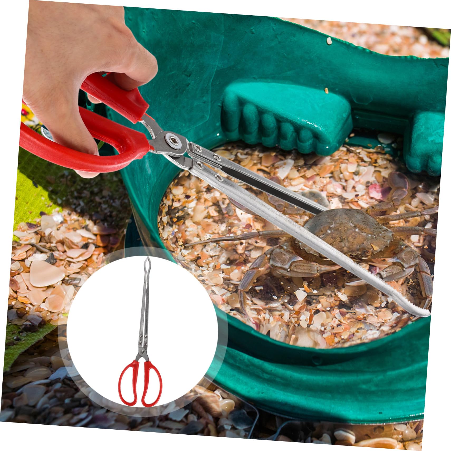Ipetboom Pince à Crabe Portable Multifonction Acier Inoxydable Pince Antidérapante pour Anguilles et Écrevisses Outil Robuste et pour Usage Domestique et Activités Plein Air