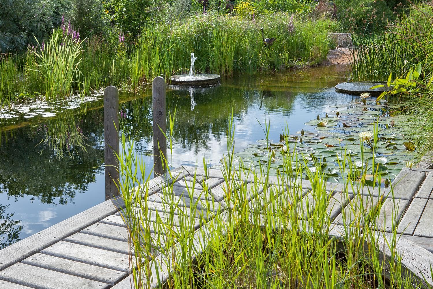 Wasser im Garten 2 - Das große Ideenbuch (Garten- und Ideenbücher BJVV):