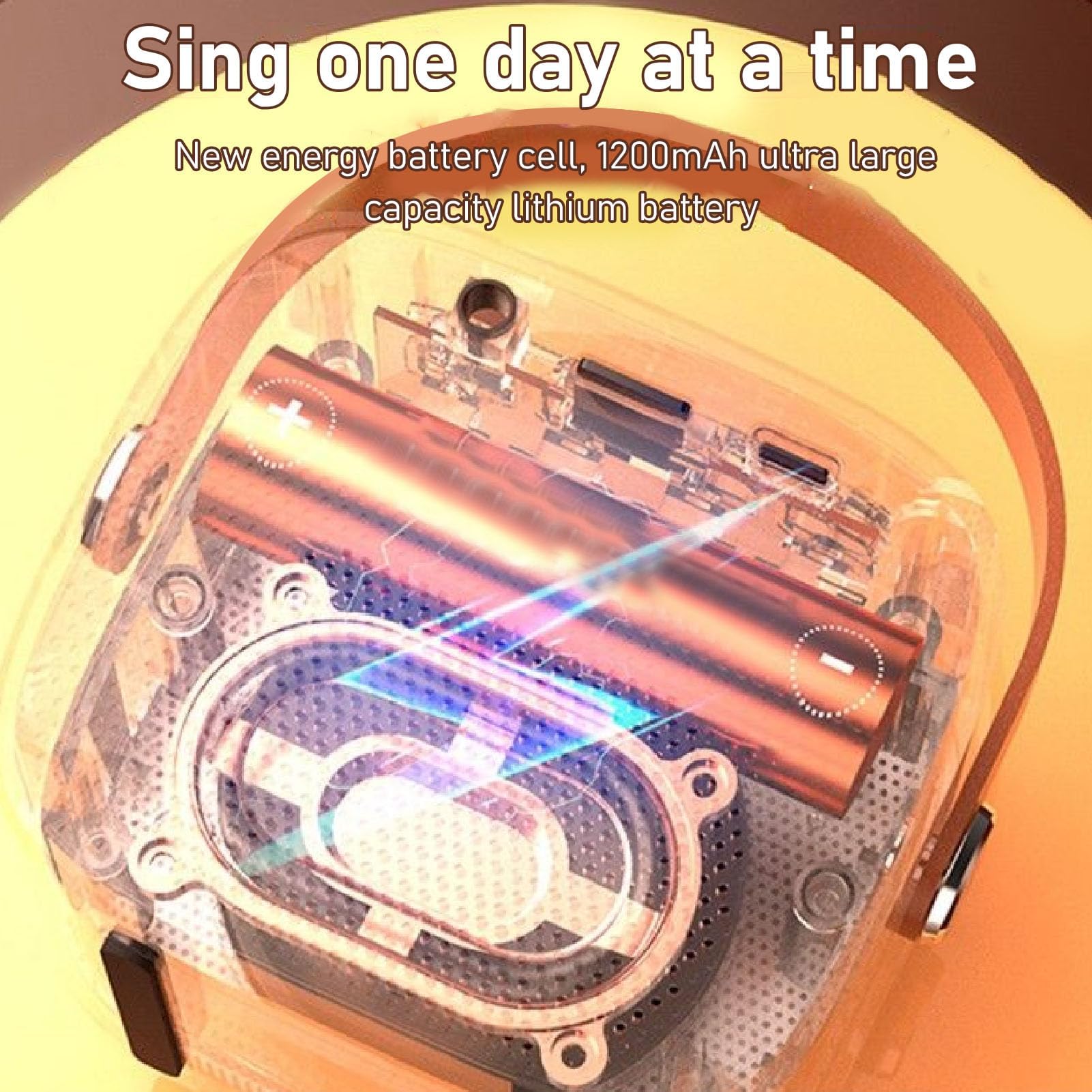 Tragbare Bluetooth Karaoke Maschine mit 2 Mikrofonen, 512GB erweiterbar, für Heimpartys, KTV, Kinder und Erwachsene