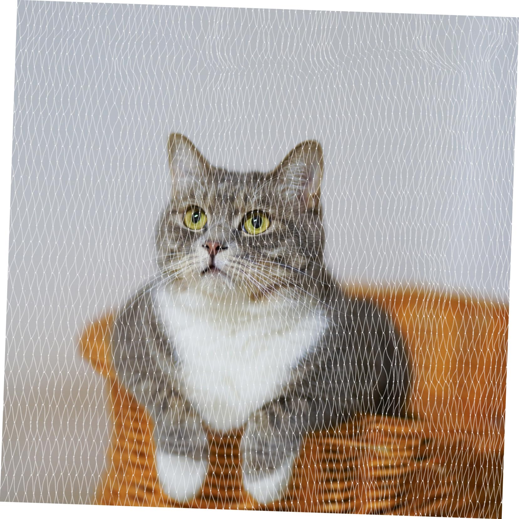 Katzennetz für Balkon und Fenster Drahtverstärkt Transparent Nylon Weiß Absturzsicherung für Hunde und Katzen Engmaschig