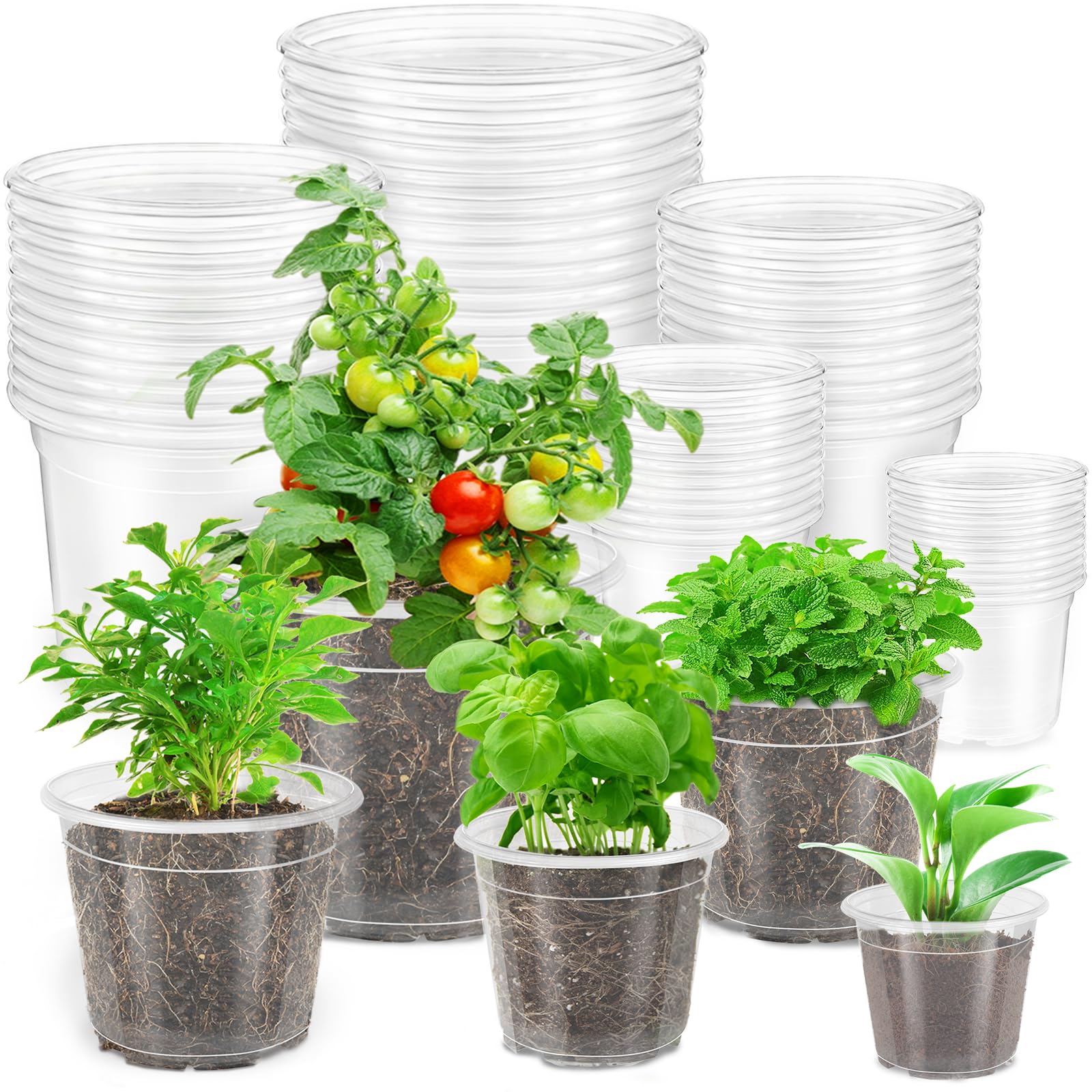 60pcs clear nursery pots with drainage holes,transparent plastic plant pot seedling pots,seed starter pots for planting,transplanting,flower,succulents,cuttings(3/4/5/6/6.7 inch)