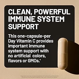 NatureWise Vitamin C 1000mg Capsules - Extra Strength Vegan Vitamin C for Daily Antioxidant & Immune Support - Non-GMO, USA Manufactured - 120 Capsules[120-Day Supply]