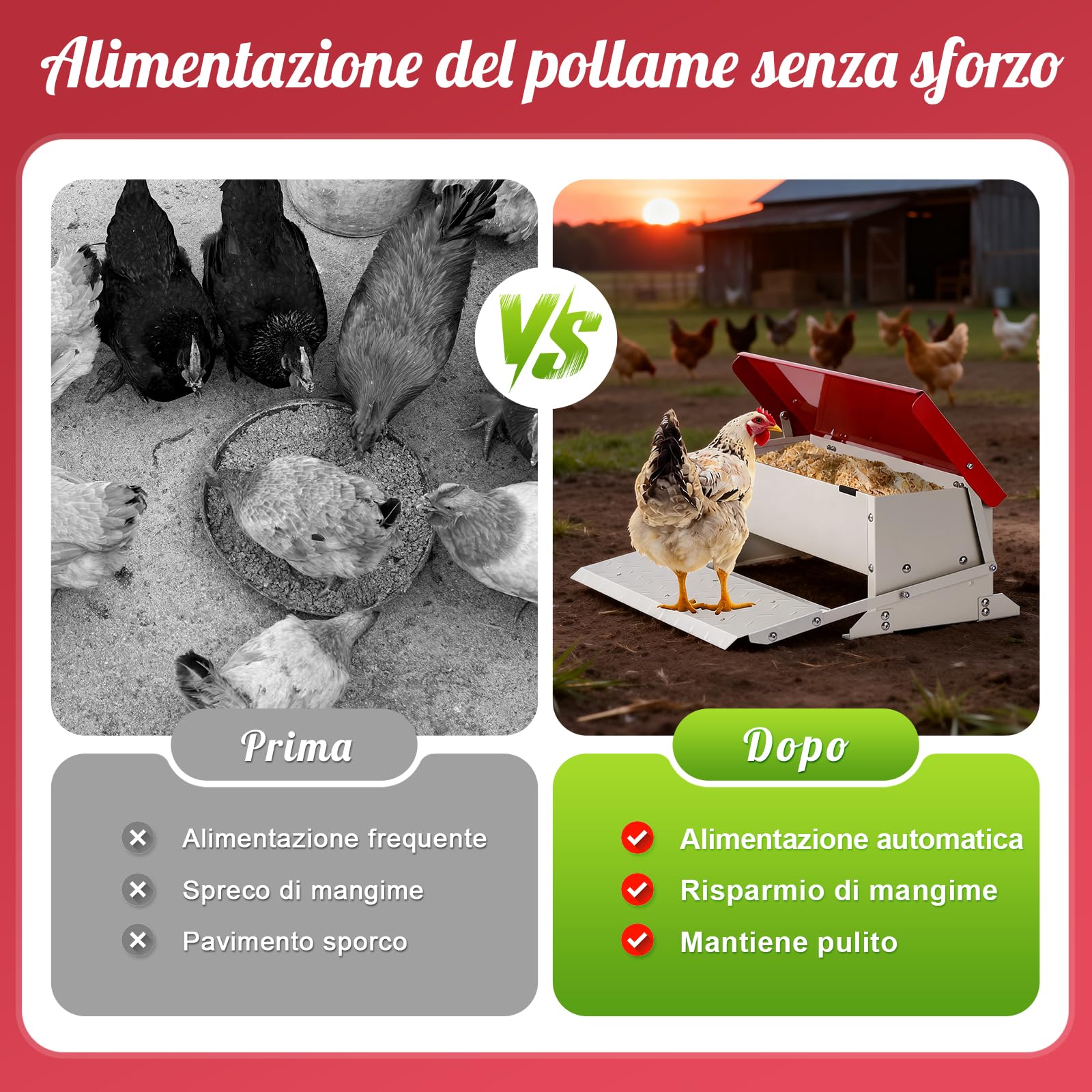 Mangiatoia per polli (volume 5 kg), acciaio zincato, meccanismo a pedana con pedana, coperchio impermeabile, mangiatoia a prova di ratti per pollame come polli, anatre, oche