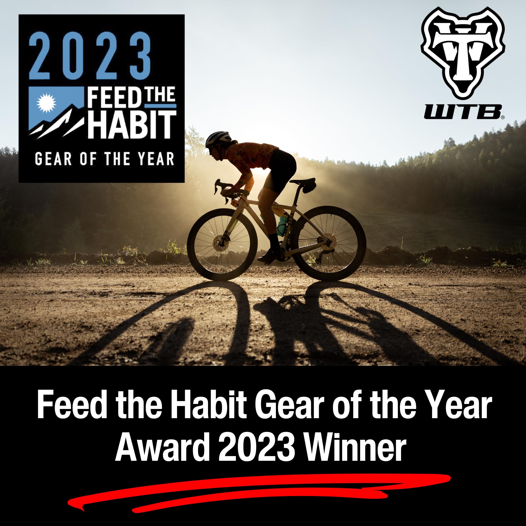 Amazon | WTB Vulpine 36 x 700 チューブレスタイヤ TCS ライト