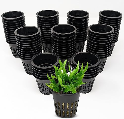 KP KOOL PRODUCTS 2 pulgadas - Combo de 25 macetas de red para plantas de interior y exterior - Macetas pequeñas de plástico para hidroponía - Cesta