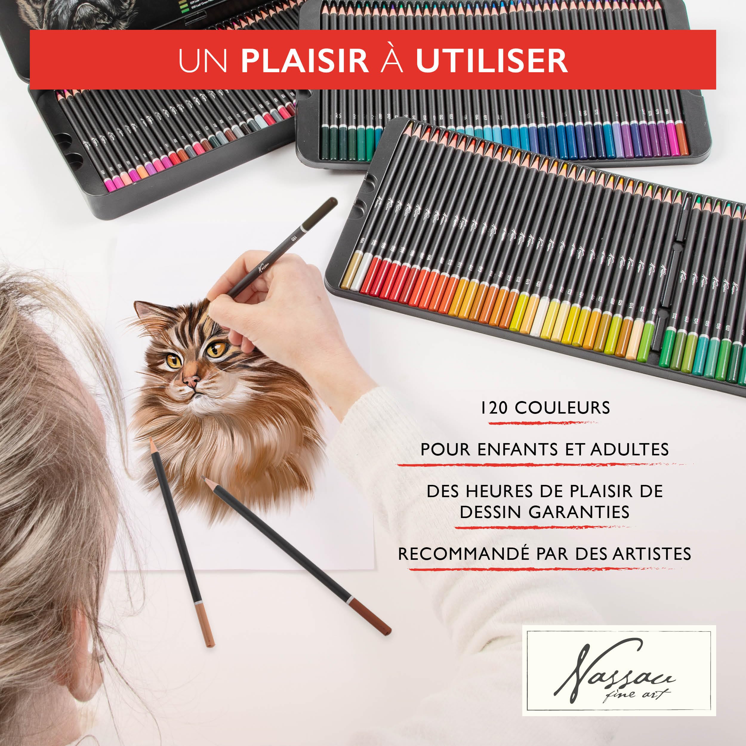 VAN NASSAU FINE ART Lot de 120 Crayons de Couleur Professionnels dans Une boîte de présentation en tôle | Crayons en Bois | Mines de Couleur de qualité supérieure | pour Enfants et Adultes