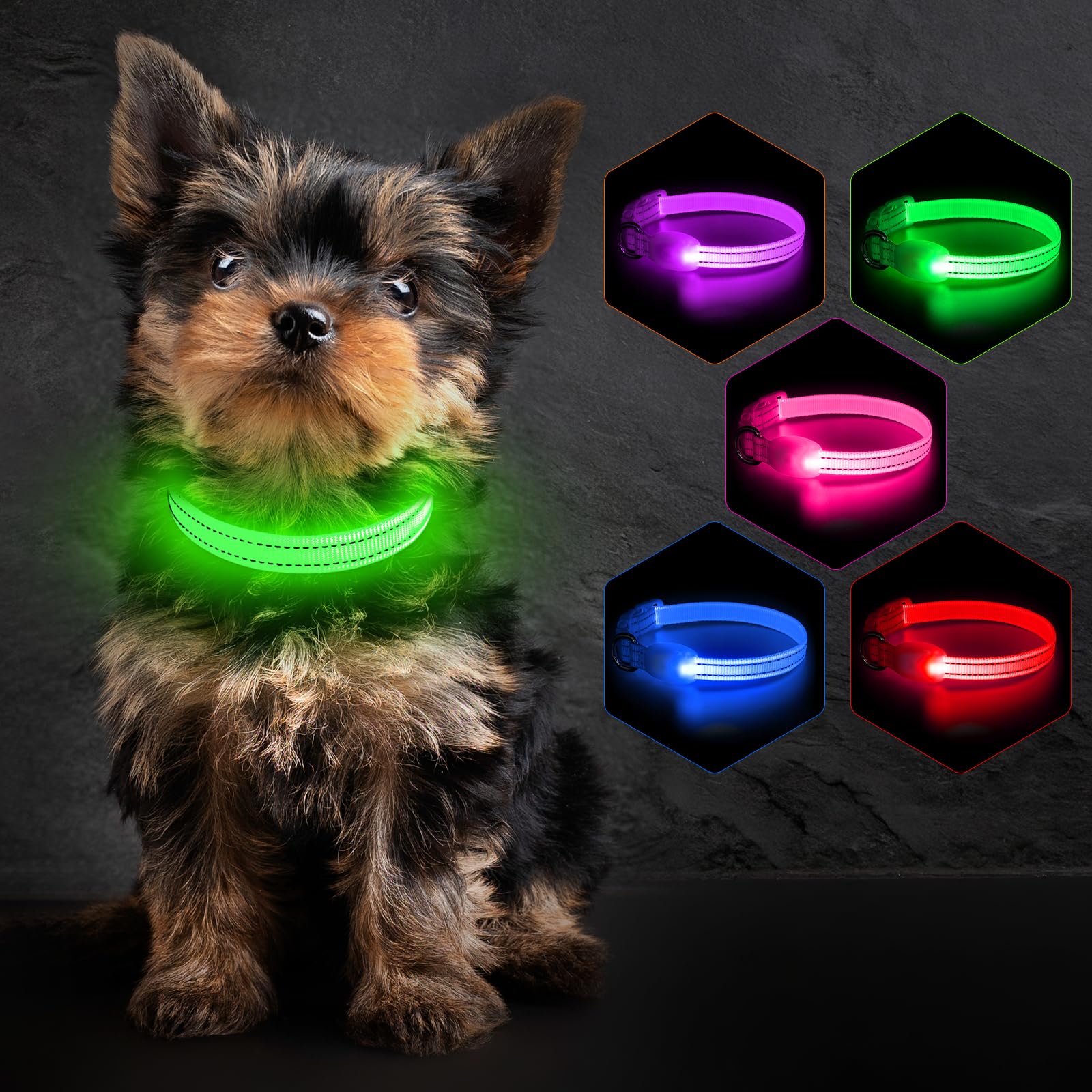 Colaseeme, LED Leuchthalsband für Hunde, Wiederaufladbar mit USB-C, Wasserdicht, Verstellbare Größen S/M/L für kleine & große Hunde