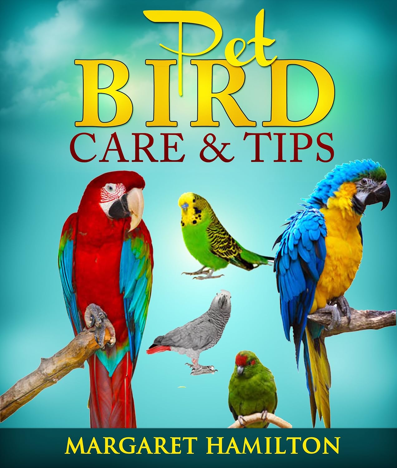 Pet Bird Care and Tips (Thinking of Adding a Pet Bird to Your Family