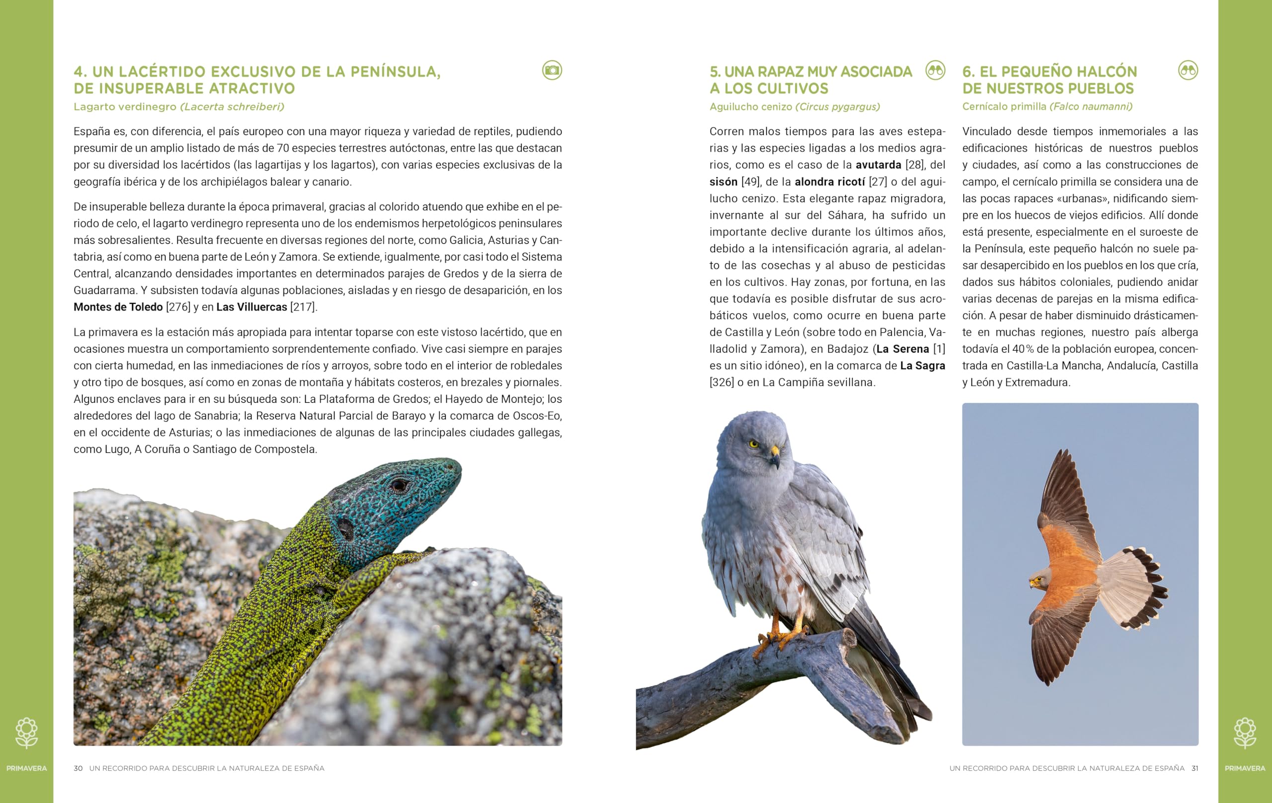 Un recorrido para descubrir la Naturaleza de España.: 365 Propuestas imprescindibles (Guías Singulares)