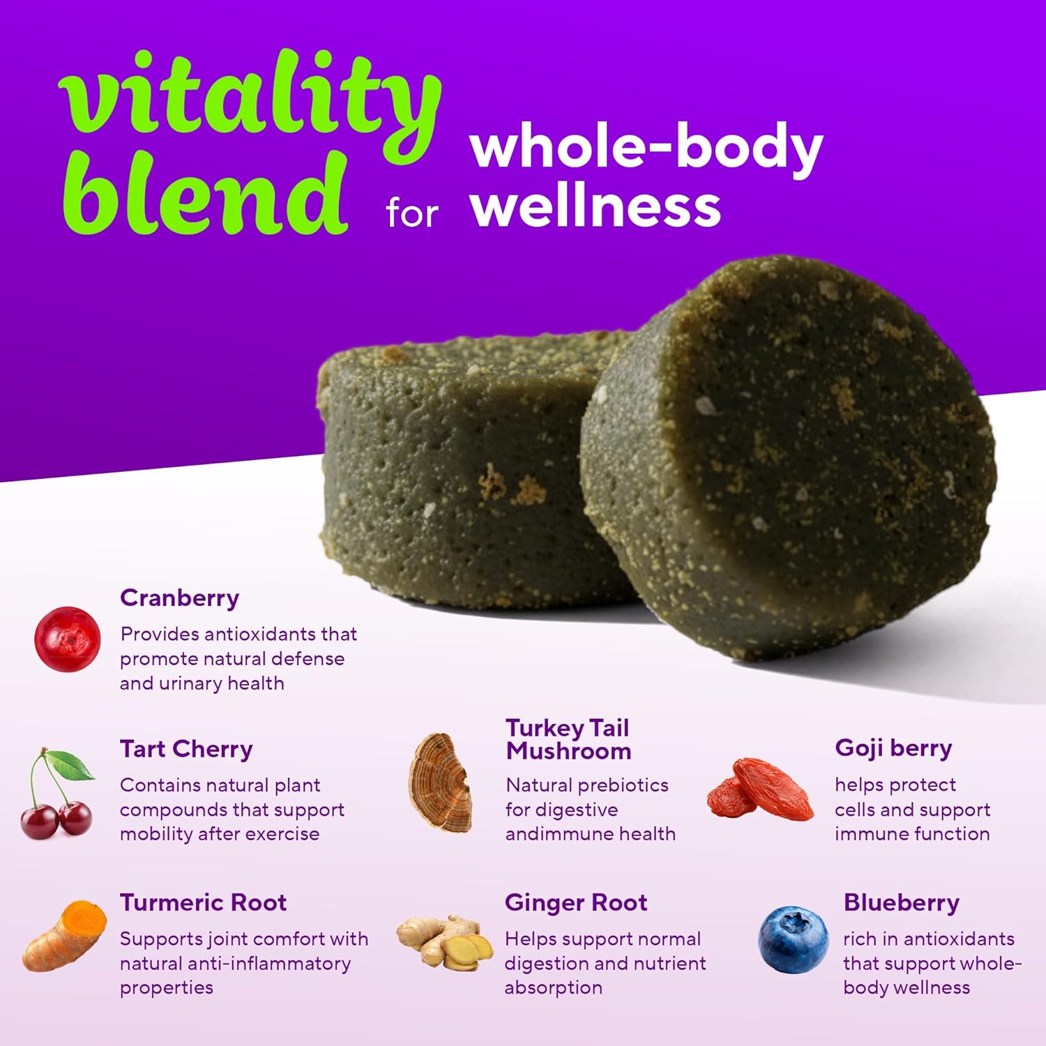 VitaFusion for Dogs Superfood Multivitamin – Daily Immune, Skin & Bone Support with Vitamins A, D & E + Antioxidant Superfoods – Vet Formulated Wellness for Puppies to Senior Dogs, 120 Chews.
