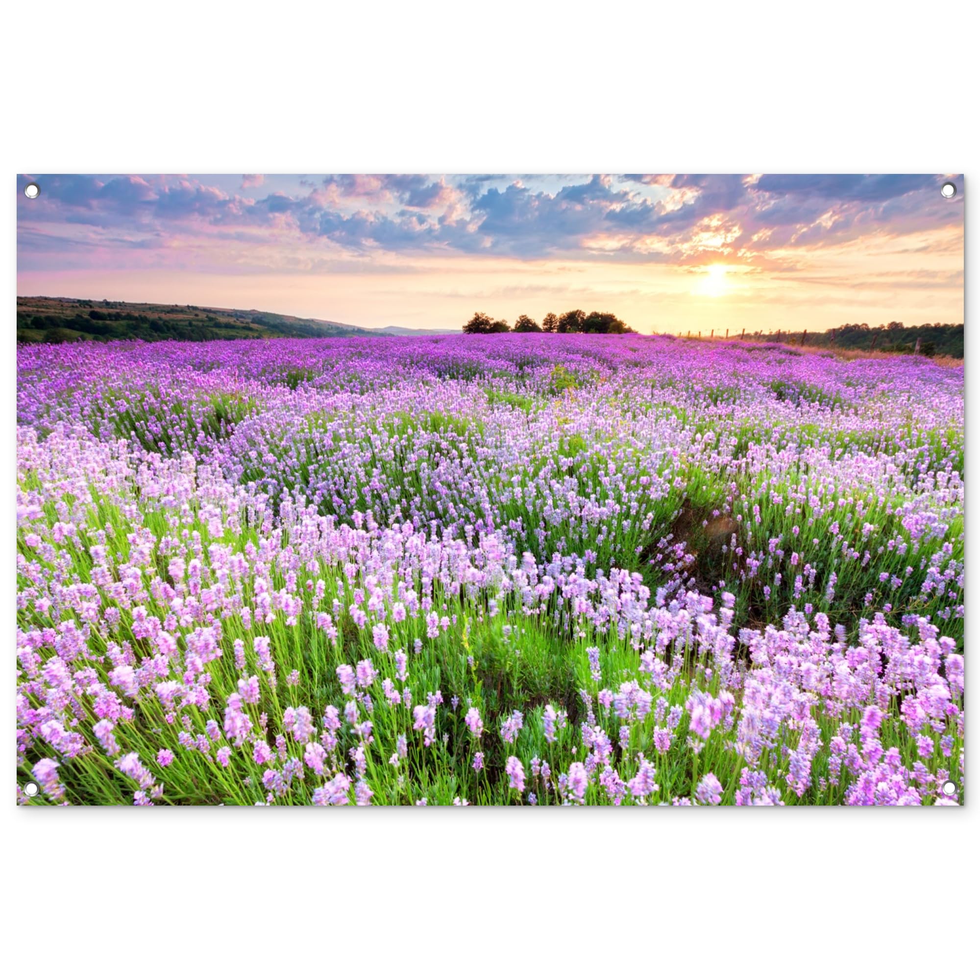 MuchoWow© Garden Poster Wall Decor Posters Balcony Accessories Outdoor — image 1