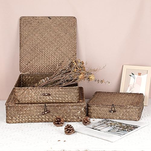 Miniatura 4 de Hipiwe Cesta plana de almacenamiento de hierba marina con tapa, juego de 3 cestas de mimbre rectangulares tejidas, caja organizadora para el hogar