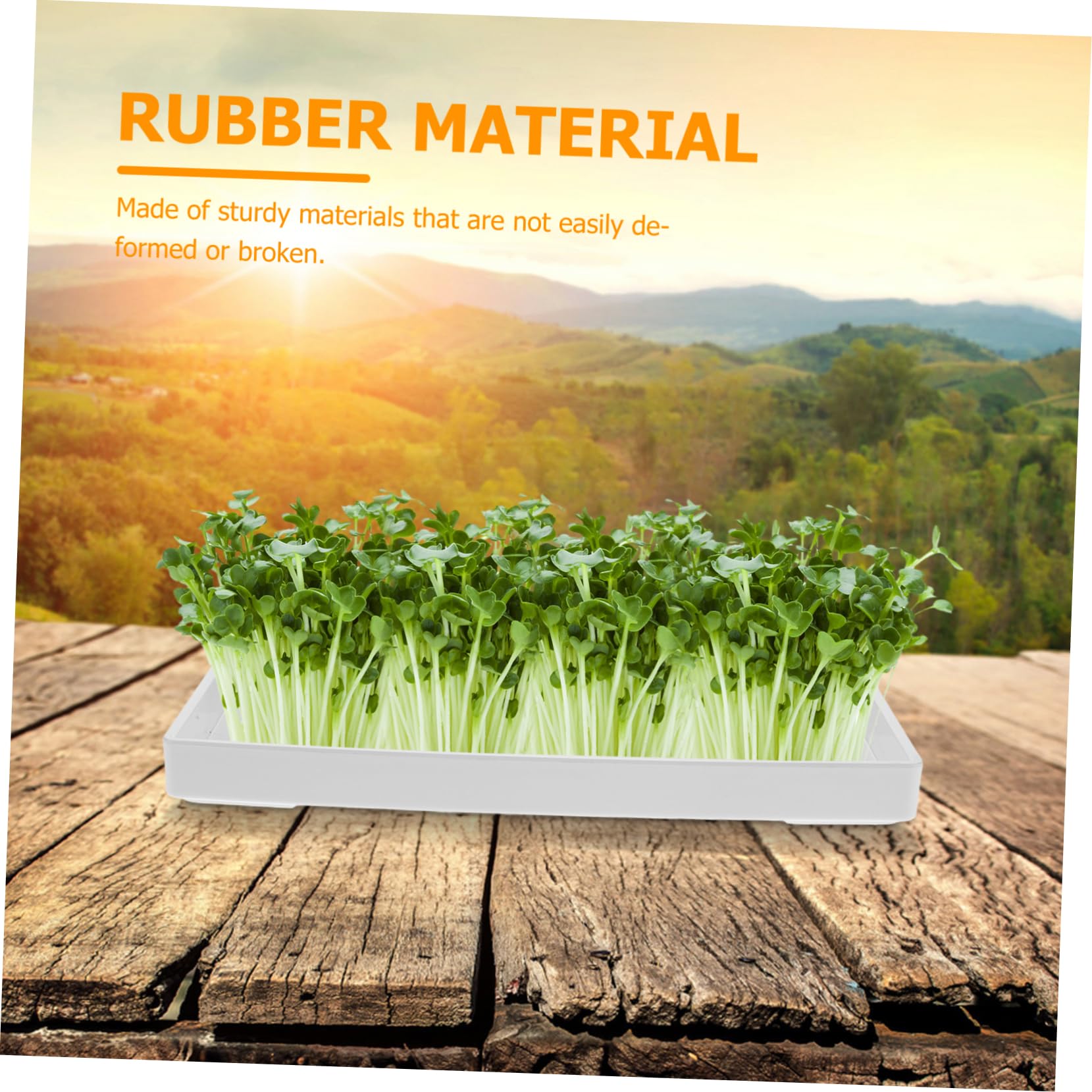 Plateau De Germination pour Cuisine Plateau De Plantation Pot Et Germination Facile pour Cultiver Pousses De Soja