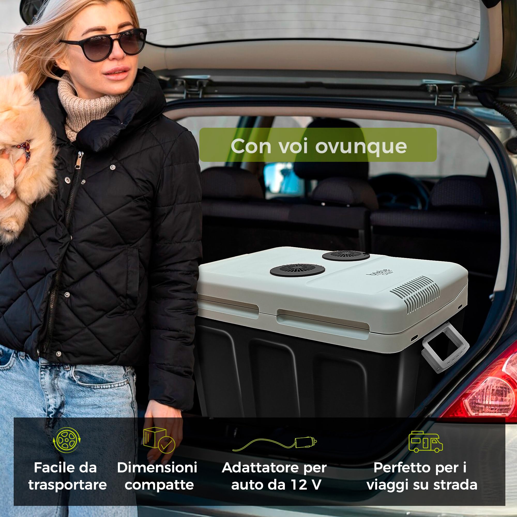 briebe Frigorifero Portatile da Viaggio Termoelettrico 40 Litri AC/DC 12V / 220V, Per Auto, Campeggio, Raffredda e Tiene Caldo, Modalità a Basso Consumo (Nero)