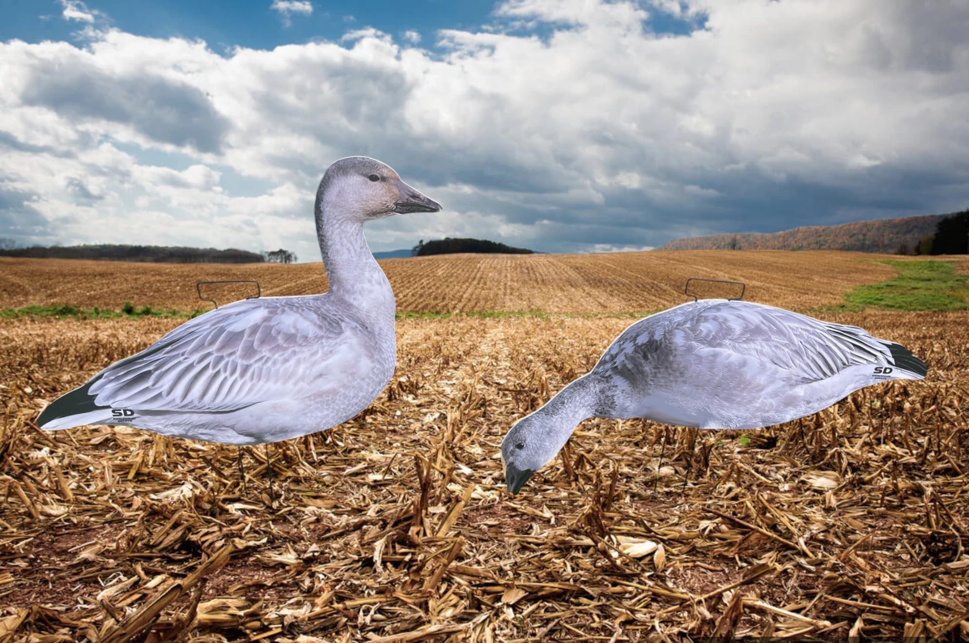 SnowDown Decoys Juvie Goose Silhouette Decoys. Juvinile Snow Goose Decoys. 12 Pack with Metal Stakes.