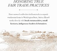 Vista 8 de Anima Mundi Apothecary Superalimento en polvo de proteína de chocolate, proteína vegana orgánica, mezcla de proteínas a base de plantas de chocolate