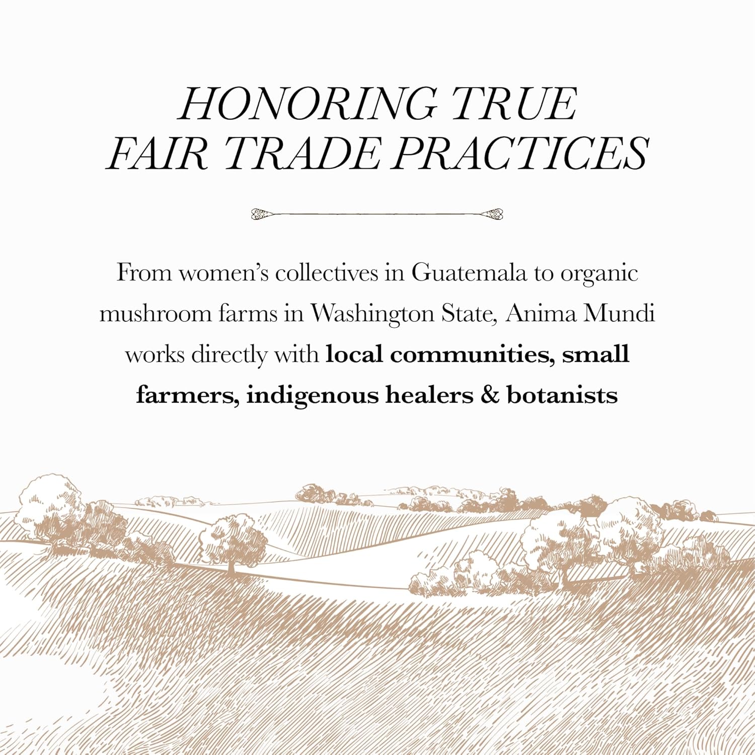 Anima Mundi Apothecary Butterfly Pea Flower Powder - Blue Healer - Use As an Organic Food Coloring or to Make Blue Butterfly Pea Flower Tea - May Support Healthy Skin & Nails (4.5 oz) - Image 8