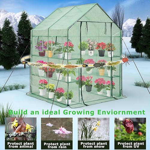 Miniatura 6 de Purlyu Invernadero para exteriores, cubierta de polietileno grueso y acero recubierto de polvo resistente, puerta de malla y ventanas de pantalla,