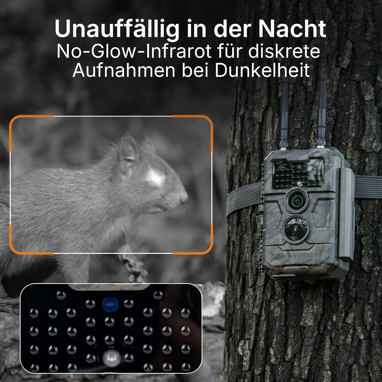GardePro E6 2.0 Pro 4K Wildkamera WLAN mit 7800mAh Akku und 64GB SD Karte, 64MP Wildkamera mit Handyübertragung App, Wildtierkamera mit Bewegungsmelder Nachtsicht, 0,2s Schnelle Trigger, IP66
