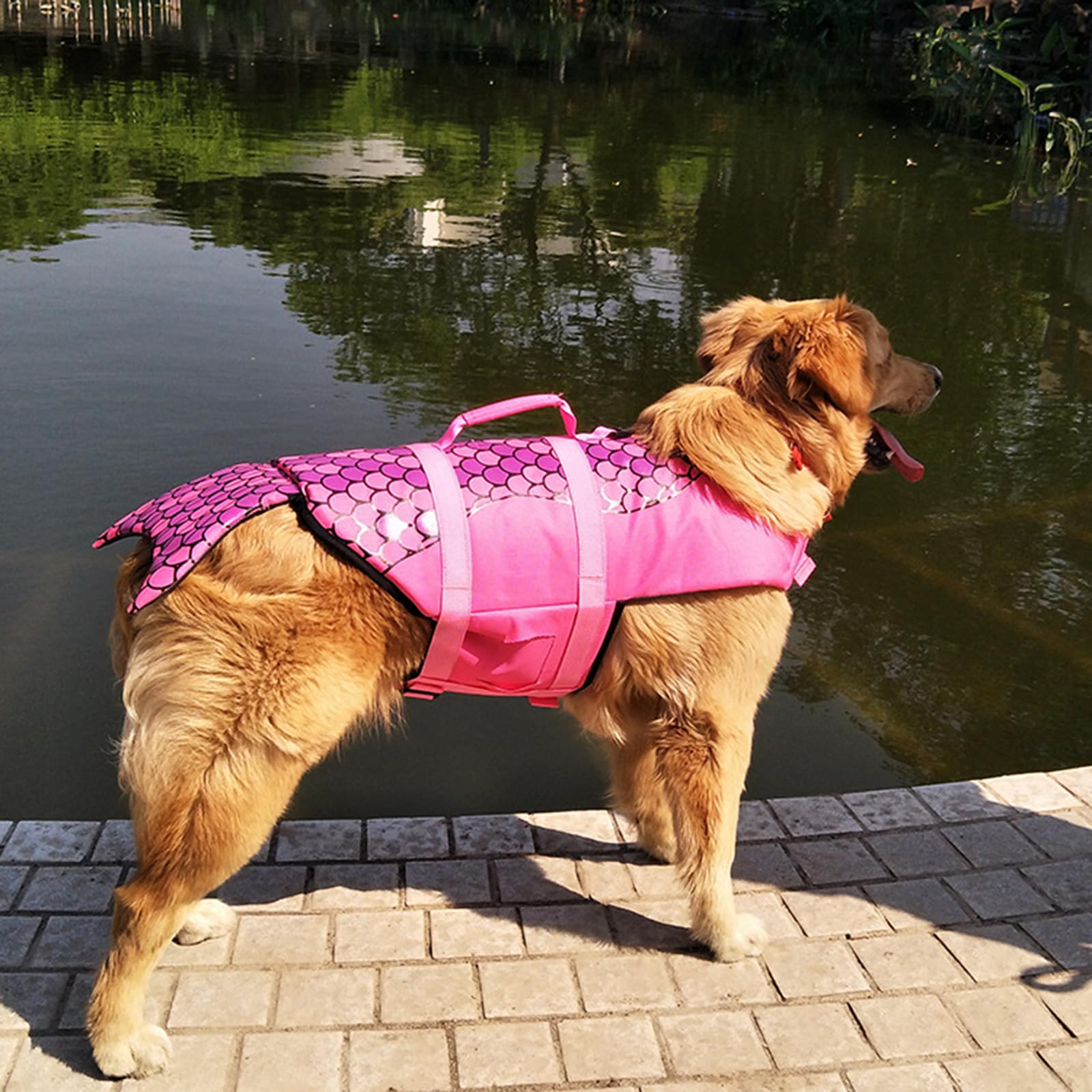 Gilet de Sauvetage pour Chien Ripstops, Gilets de Sauvetage Mignons, vêtements de flottabilité pour Animaux de Compagnie, Natation, Bateau, Requins, Manteau de Sauvetage pour Chien avec poignée de