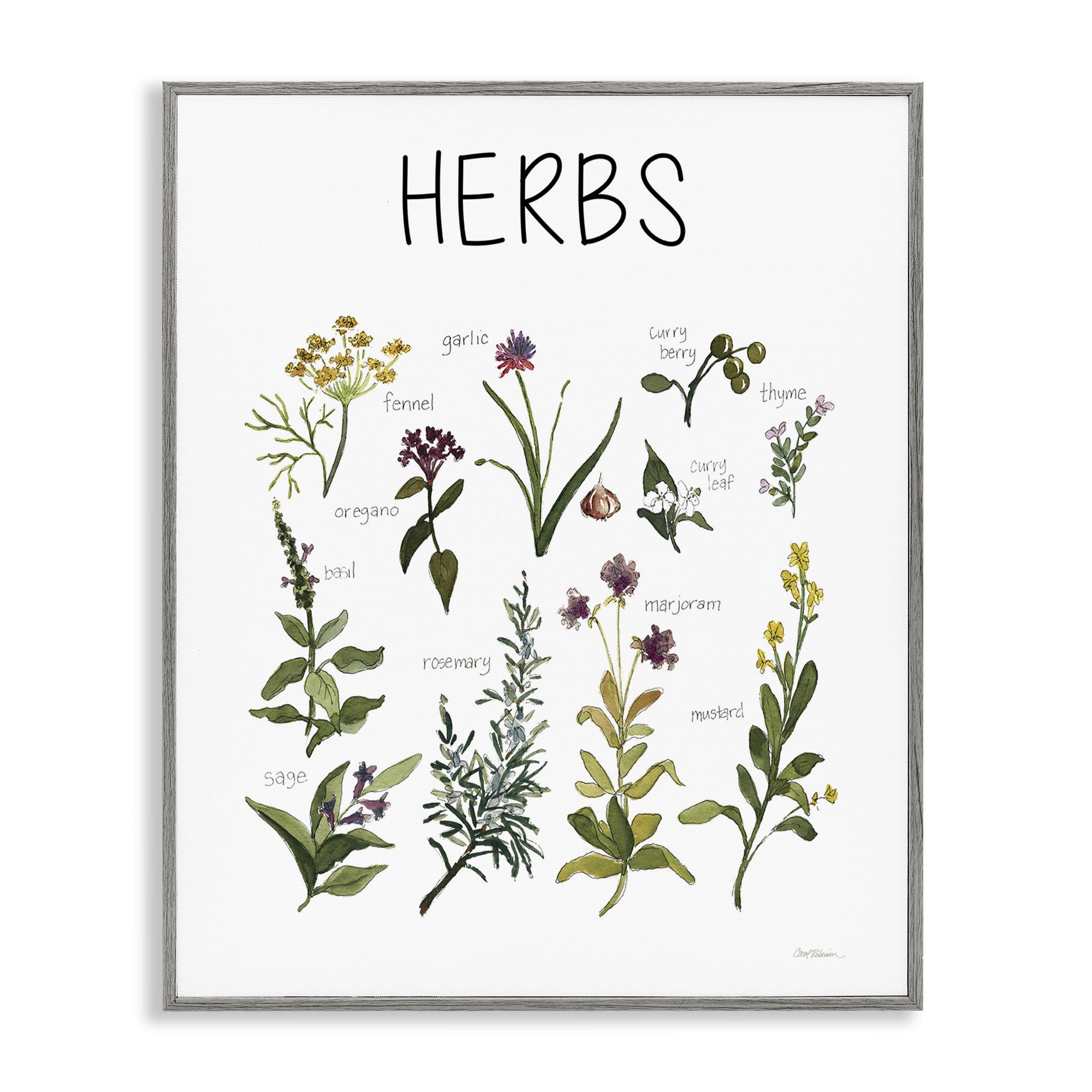 Stupell Industries Herbs Identification Chart 'Herbs Identification Chart', Framed Giclee Art, Gray, 24 X 30 Inches, Easy To Hang And Sturdy, Made In Usa, By Carol Robinson