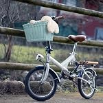 GRANNY SAYS Kids Bike Basket, Front Bicycle Basket for Kids Boys and Girls, Small Basket for Toddler Scooter Strider Bike Front Handlebar, Kids Bike Accessories, Bicycle Accessories