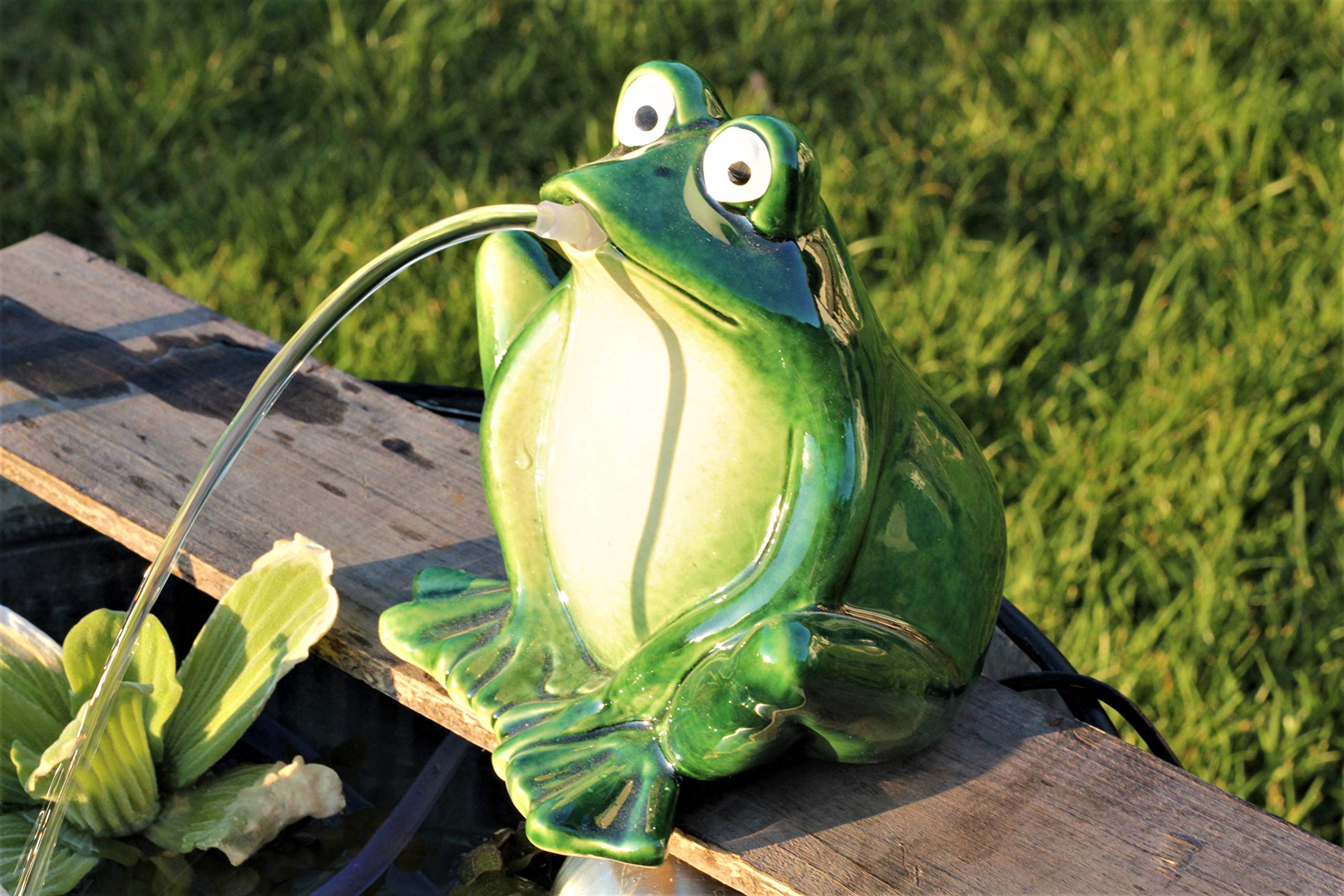 Wasserspeier Frosch 16 cm dk.grün mit Solarpumpe Solaris 170