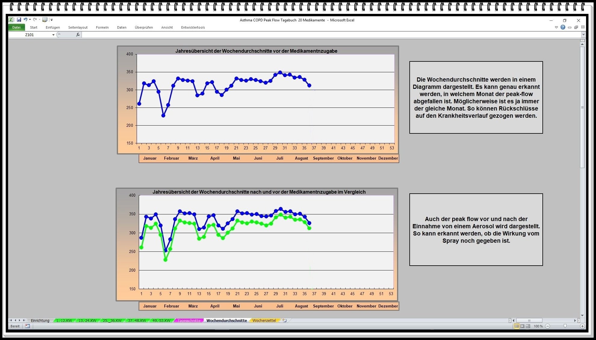 Asthma Tagebuch Software Peak Flow Protokoll