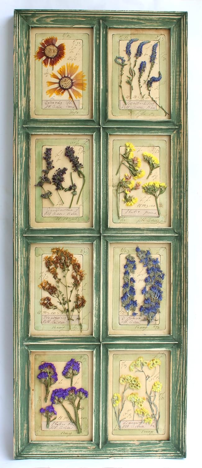 Vintage pressed flowers, farmhouse wall decor, rustic wall art, floral wall hanging, french country decor, home decoration, tall narrow wall art, vintage botanical herbarium, 29.3x11.5 in