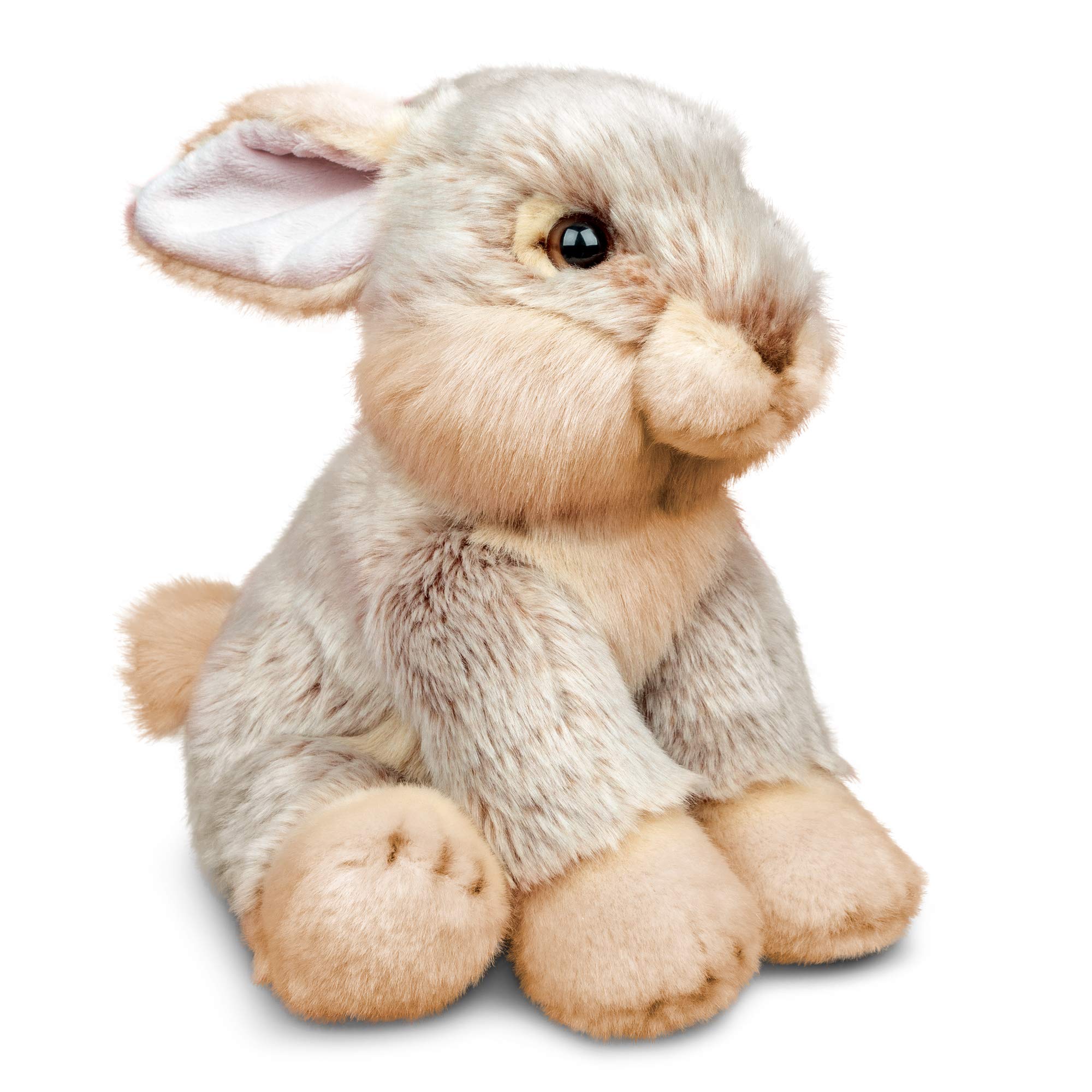 Animigos Coniglio Peluche Eco 21cm - Morbido E Realistico - Giocattolo Educativo Con Libretto
