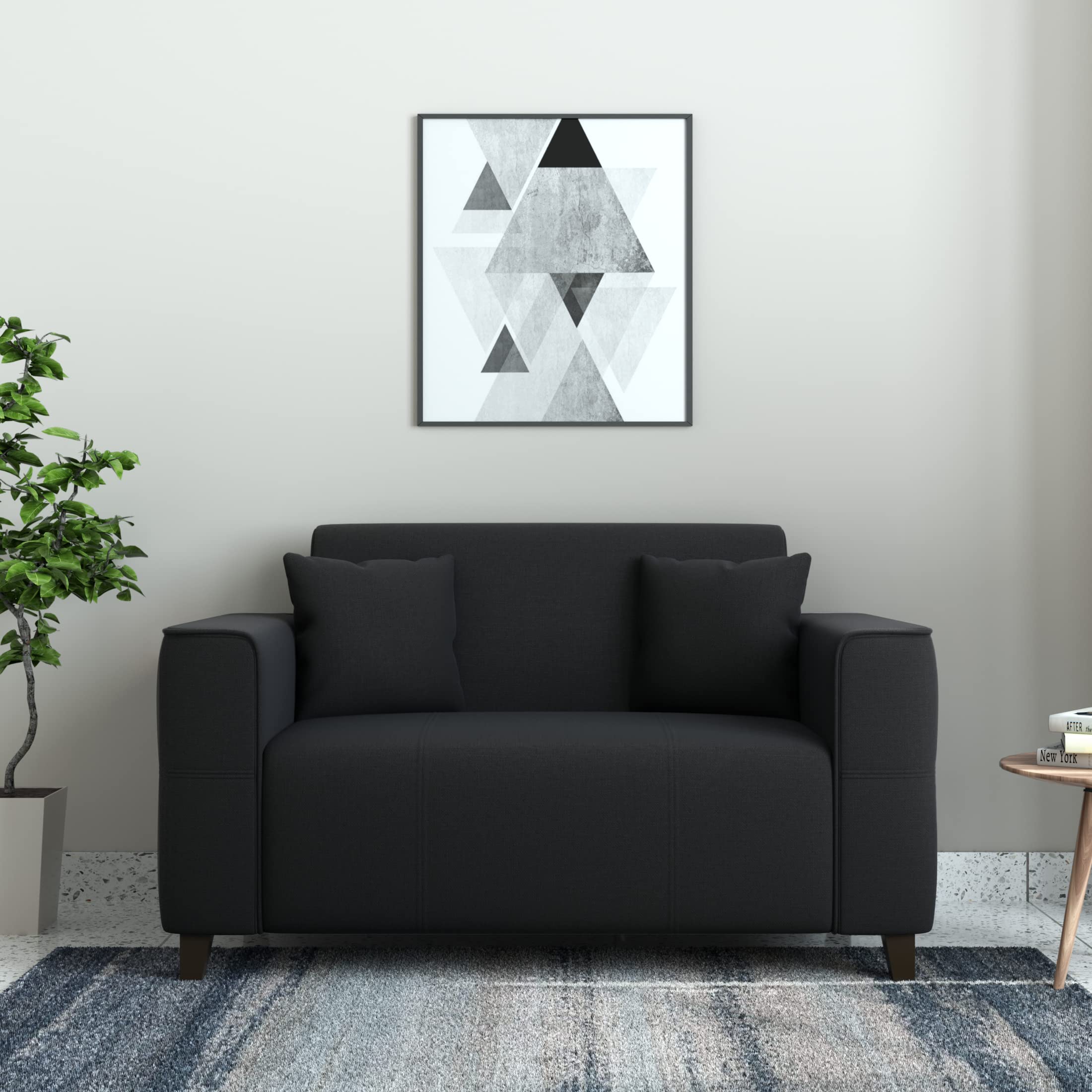 Amazon Brand - Solimo Dadisun 2 Seater Sofa (Fabric, Charcoal Grey)