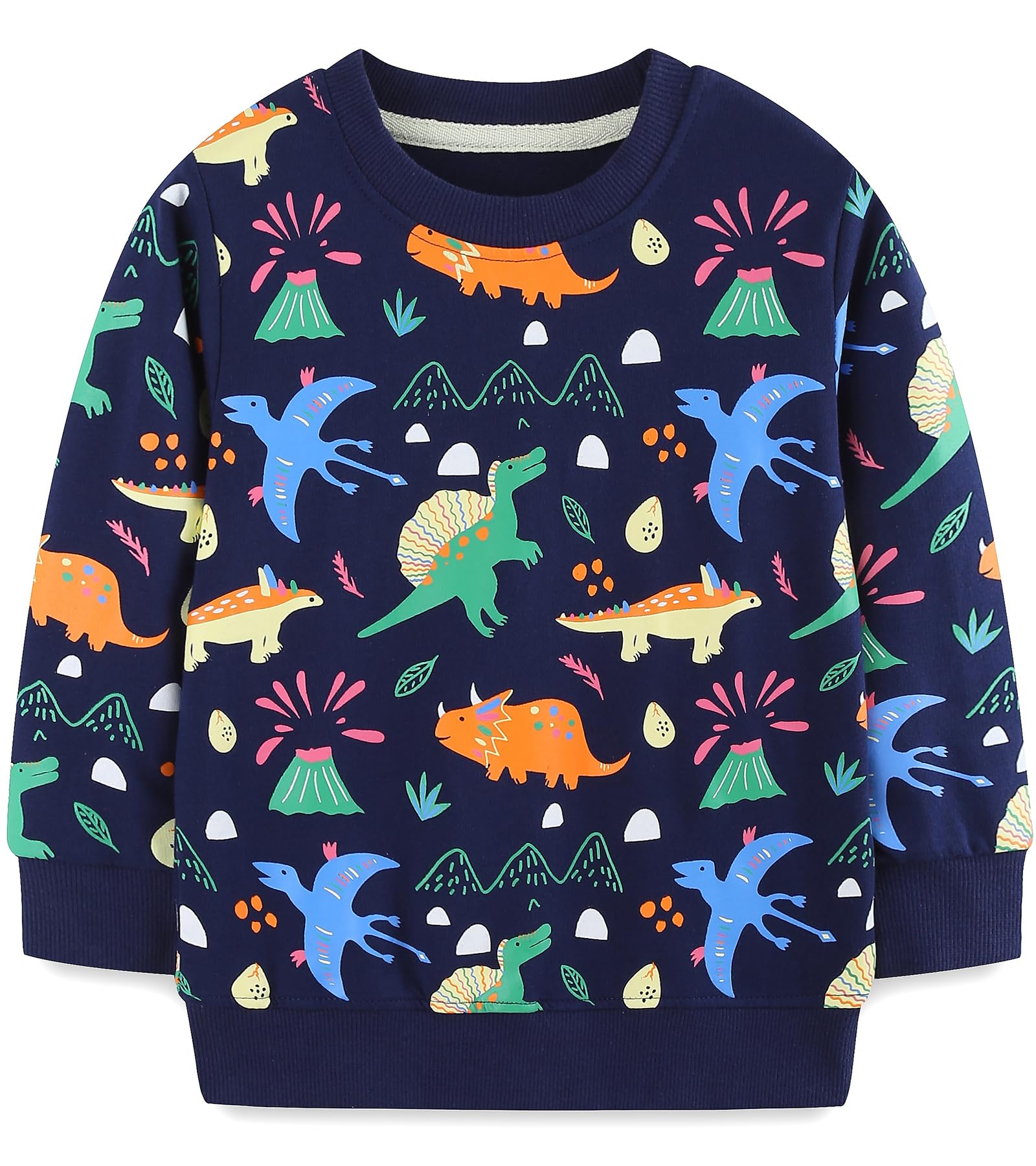 Hongshilian Unisex Kids Cute Cartoon Cotton Sweater Shirt