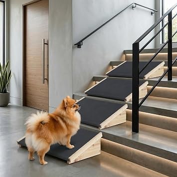 beeNbkks Dog Ramp for Stairs, Non-Slip Rubber Pet Ramps for Small Medium Dogs Cats, Gentle Slope Step and Stair Assist for Senior or Injured Pets